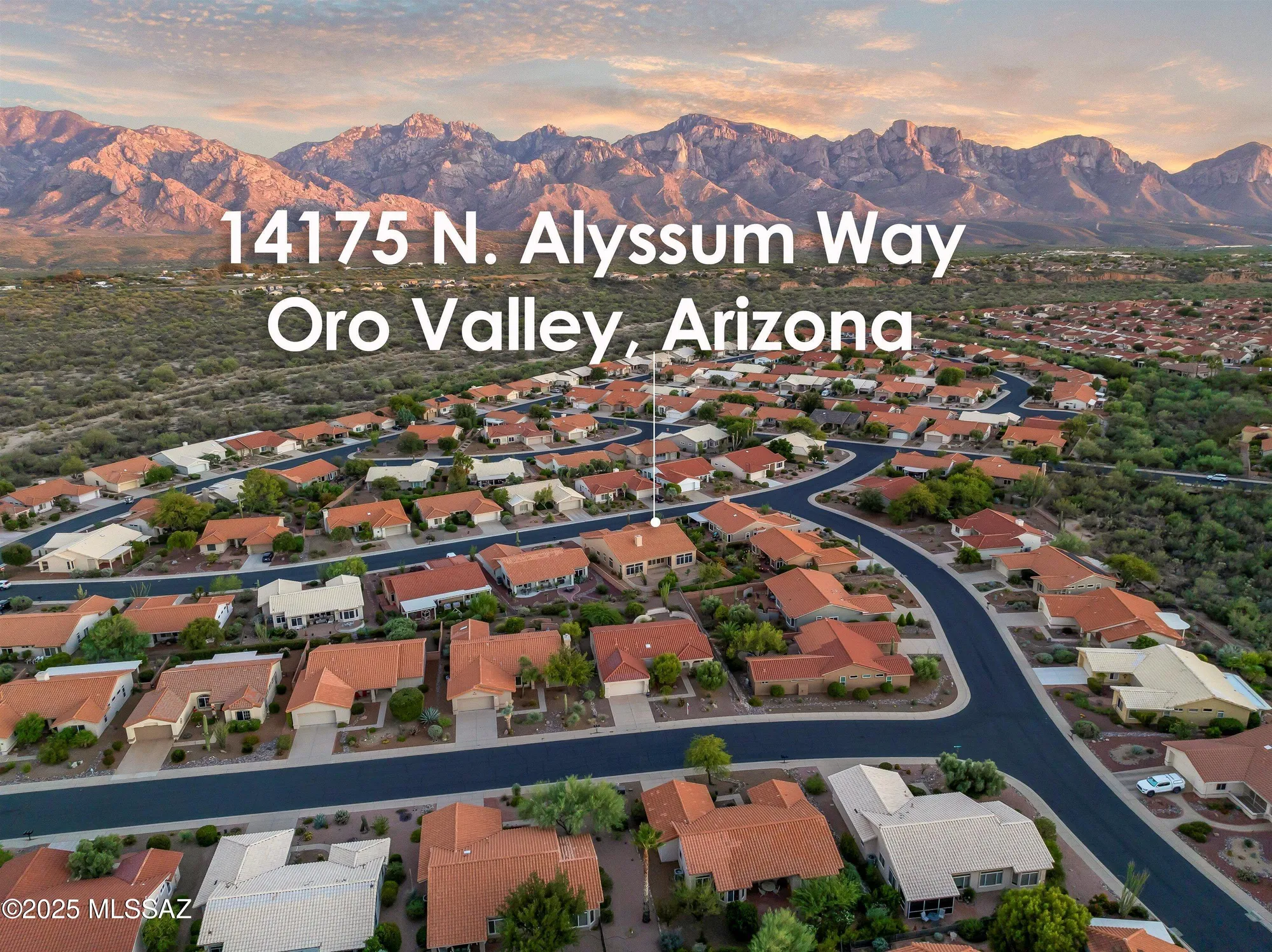Property Slideshow image 3 of 45 | 14175 n alyssum way, Oro Valley, AZ, 85755