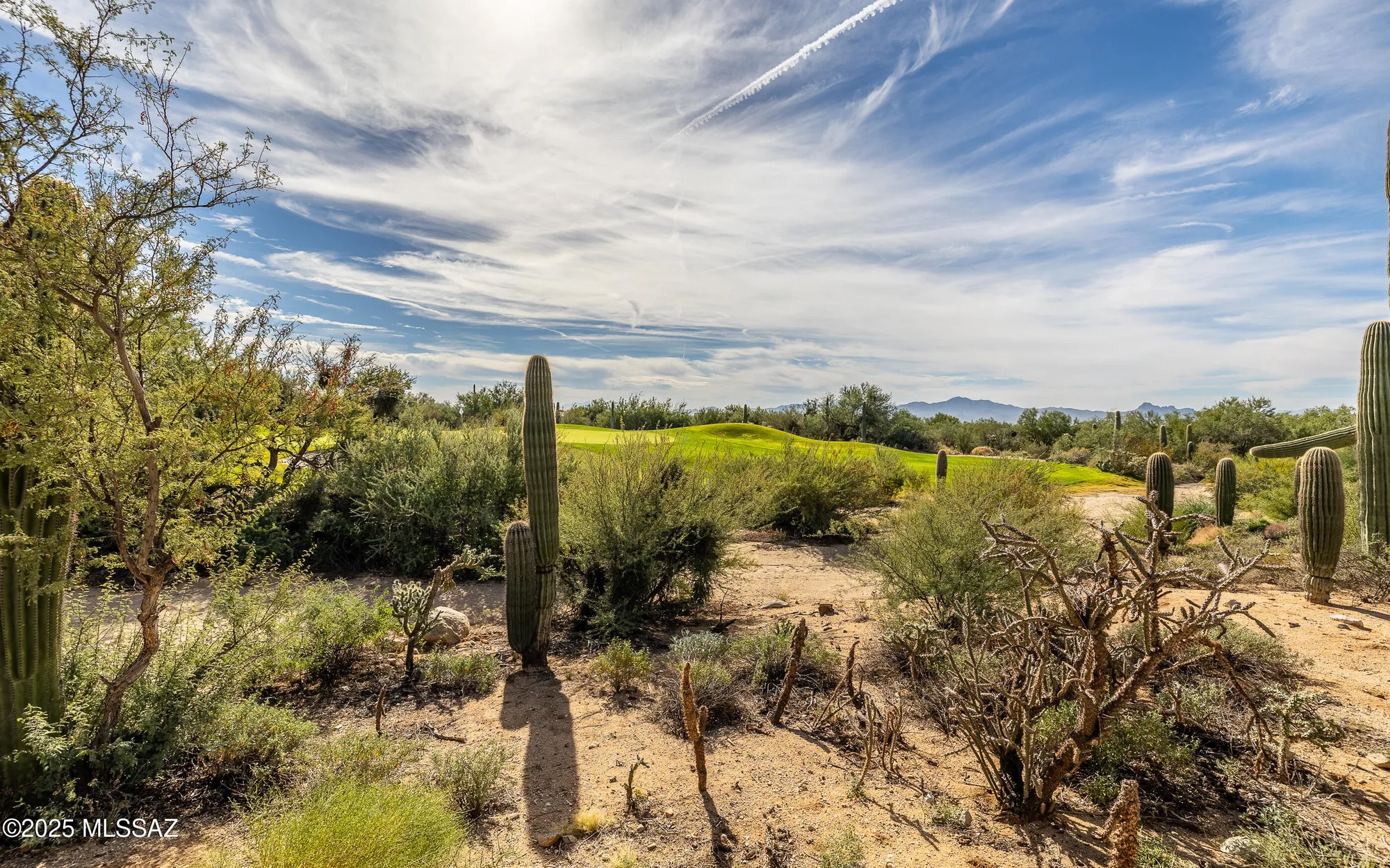 Property Slideshow image 39 of 49 | 5271 w sunrise canyon pl, Marana, AZ, 85658