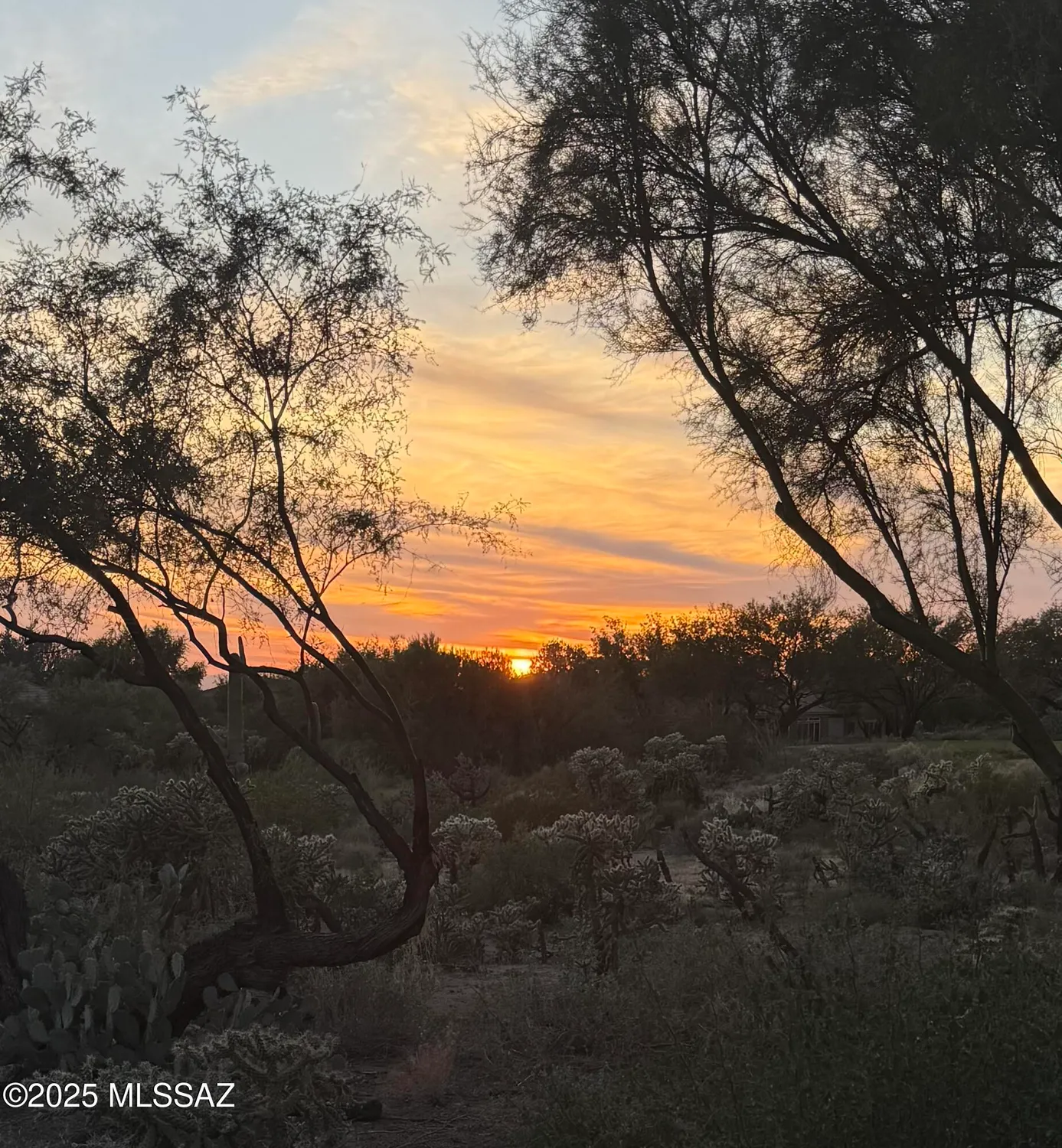 Property Slideshow image 46 of 49 | 5271 w sunrise canyon pl, Marana, AZ, 85658