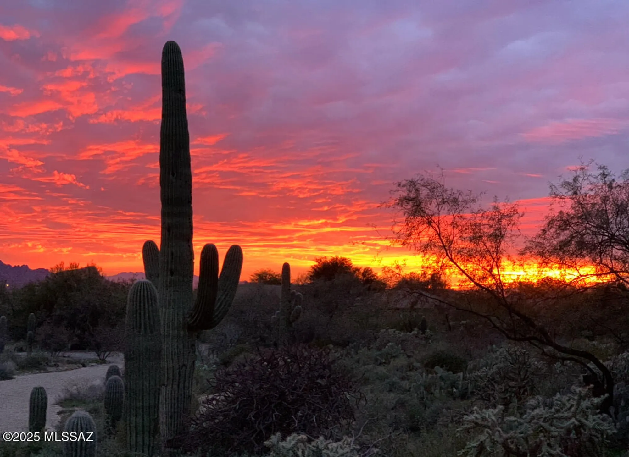 Property Slideshow image 49 of 49 | 5271 w sunrise canyon pl, Marana, AZ, 85658