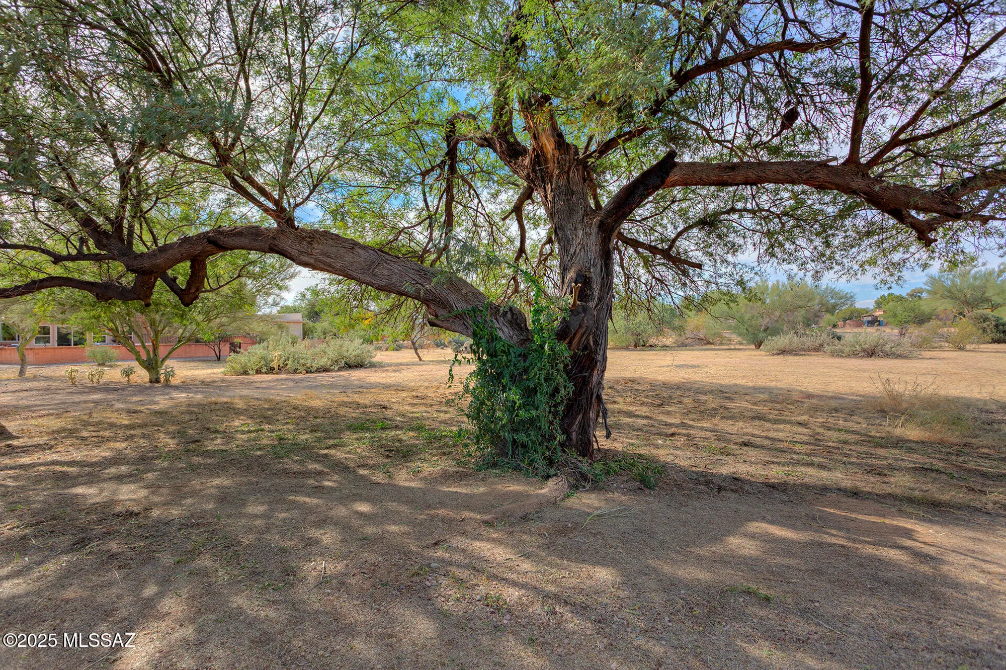 Property Slideshow image 29 of 32 | 330 e paseo azul, Green Valley, AZ, 85614