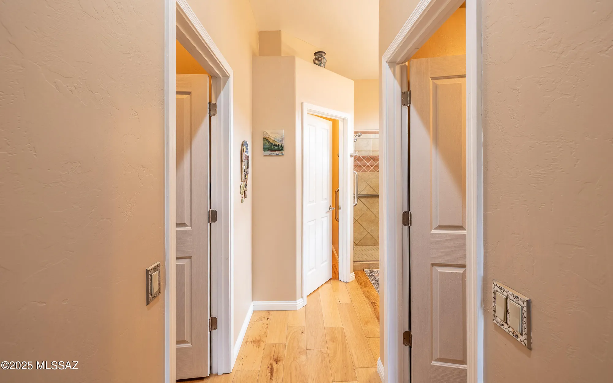 Property Slideshow image 18 of 47 | 4980 w desert chicory pl, Marana, AZ, 85658