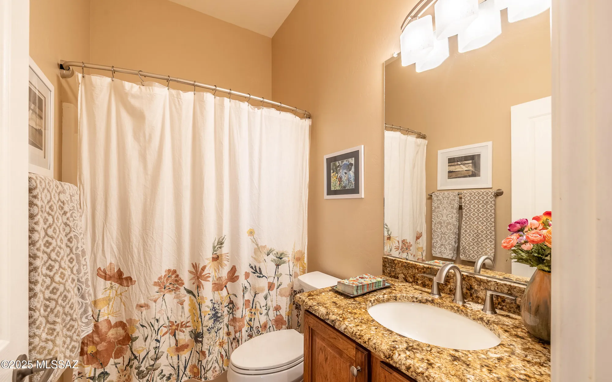 Property Slideshow image 23 of 47 | 4980 w desert chicory pl, Marana, AZ, 85658
