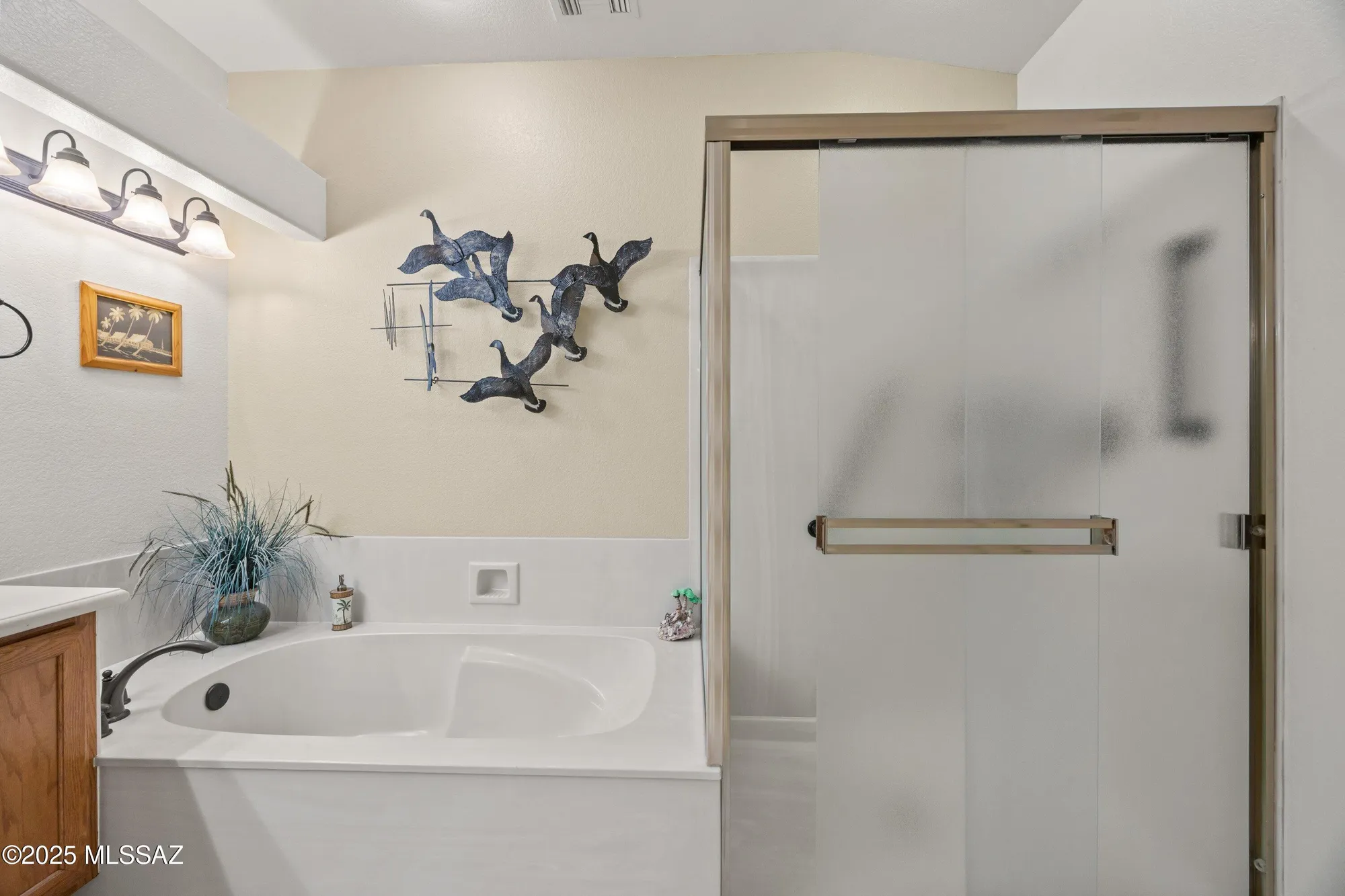 Property Slideshow image 22 of 38 | 14536 n rock springs ln, Oro Valley, AZ, 85755