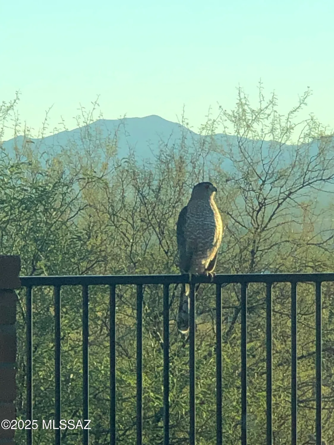 Property Slideshow image 33 of 33 | 1858 w placita de agosto, Green Valley, AZ, 85622
