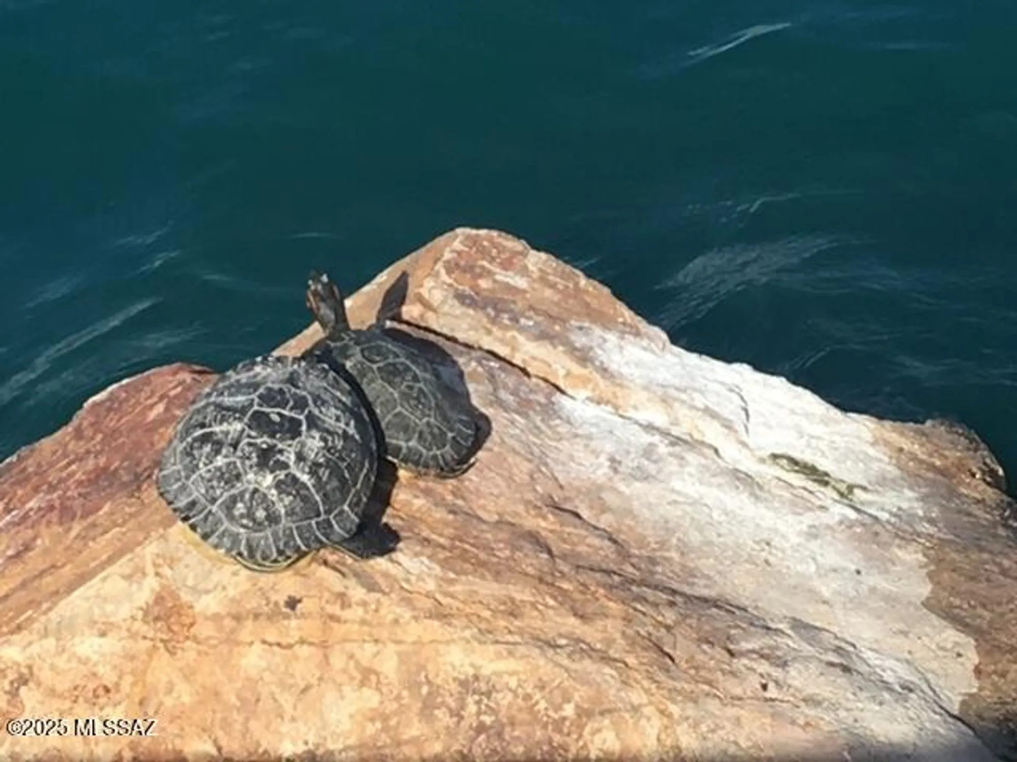 Property Slideshow image 43 of 48 | 299 w calle del estribo, Sahuarita, AZ, 85629