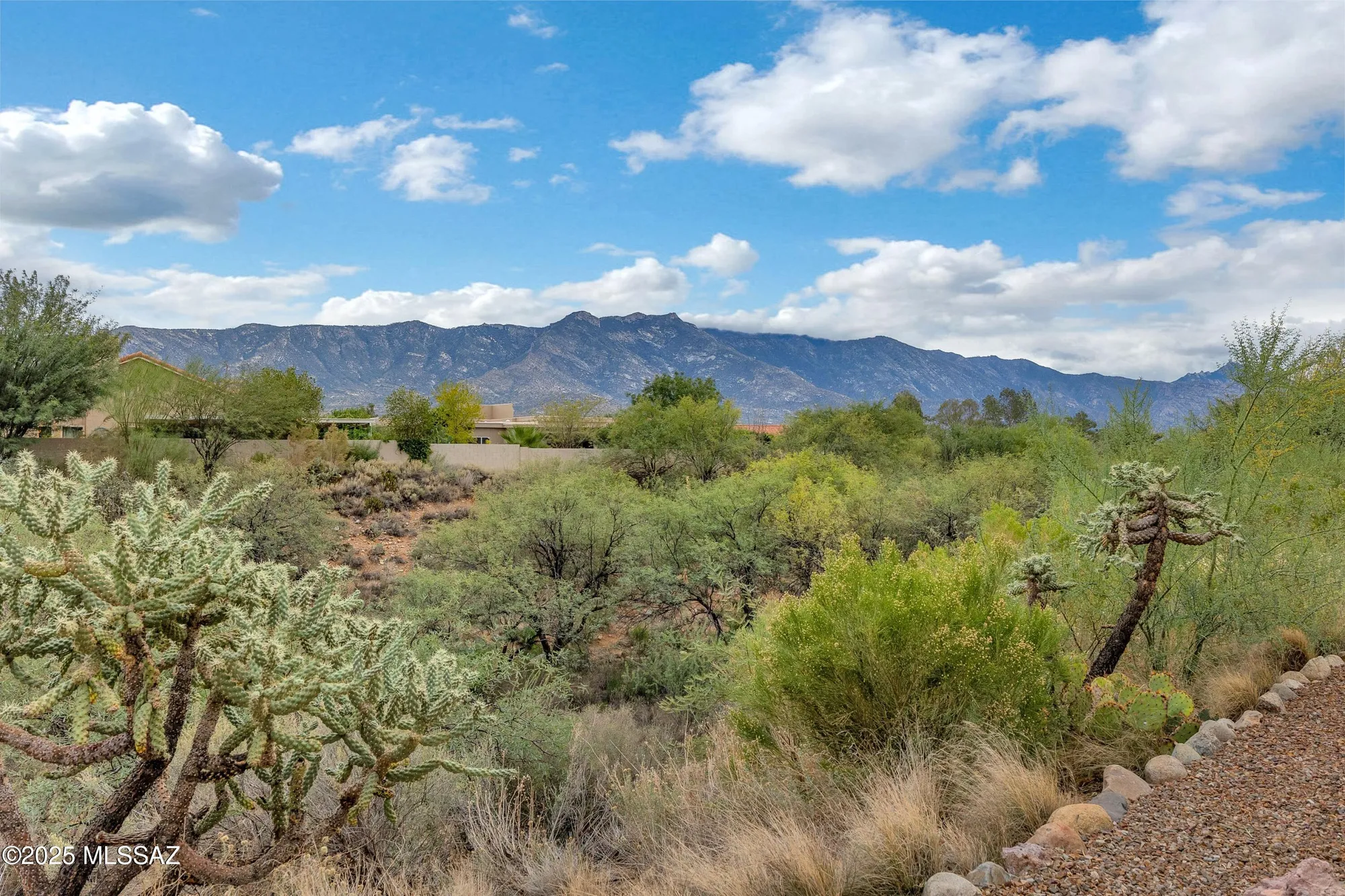 Property Slideshow image 44 of 44 | 37613 s canyon side dr, Saddlebrooke, AZ, 85739