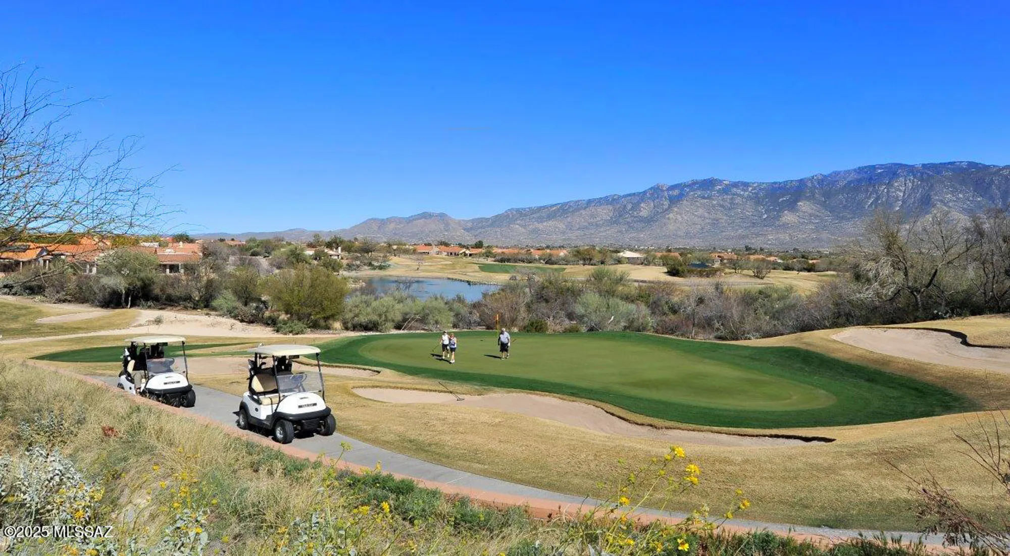 Property Slideshow image 40 of 44 | 14035 n biltmore dr, Oro Valley, AZ, 85755