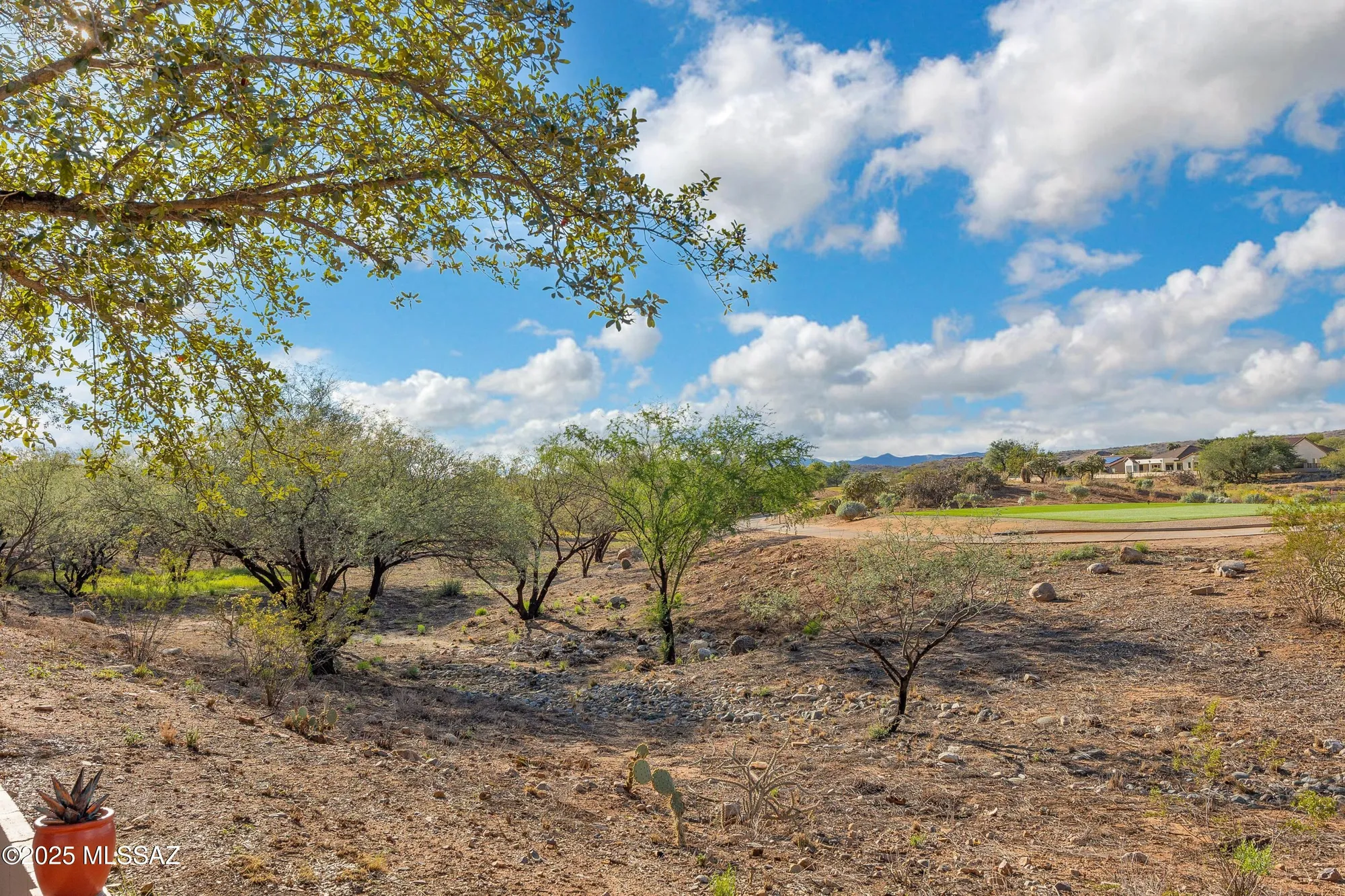Property Slideshow image 34 of 34 | 39062 s casual dr, Saddlebrooke, AZ, 85739