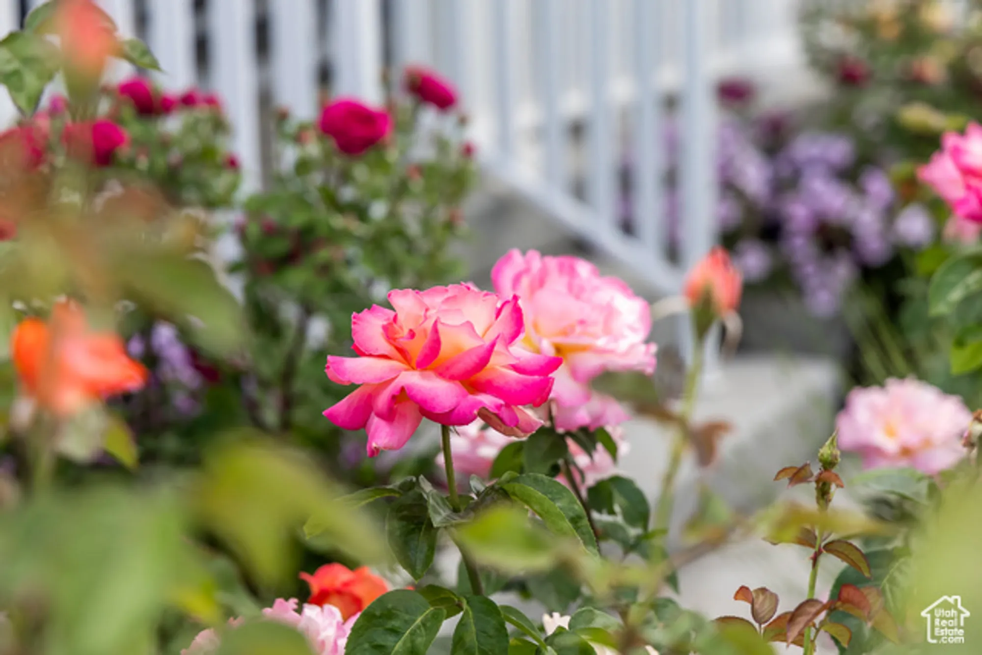 Property Slideshow image 79 of 82 | 11243 s prosperity rd, South Jordan, UT, 84009