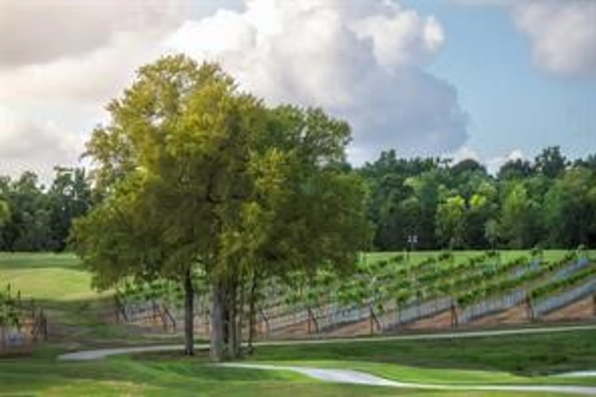 Property Slideshow image 45 of 49 | 9975 monarch landing cv, Willis, TX, 77318