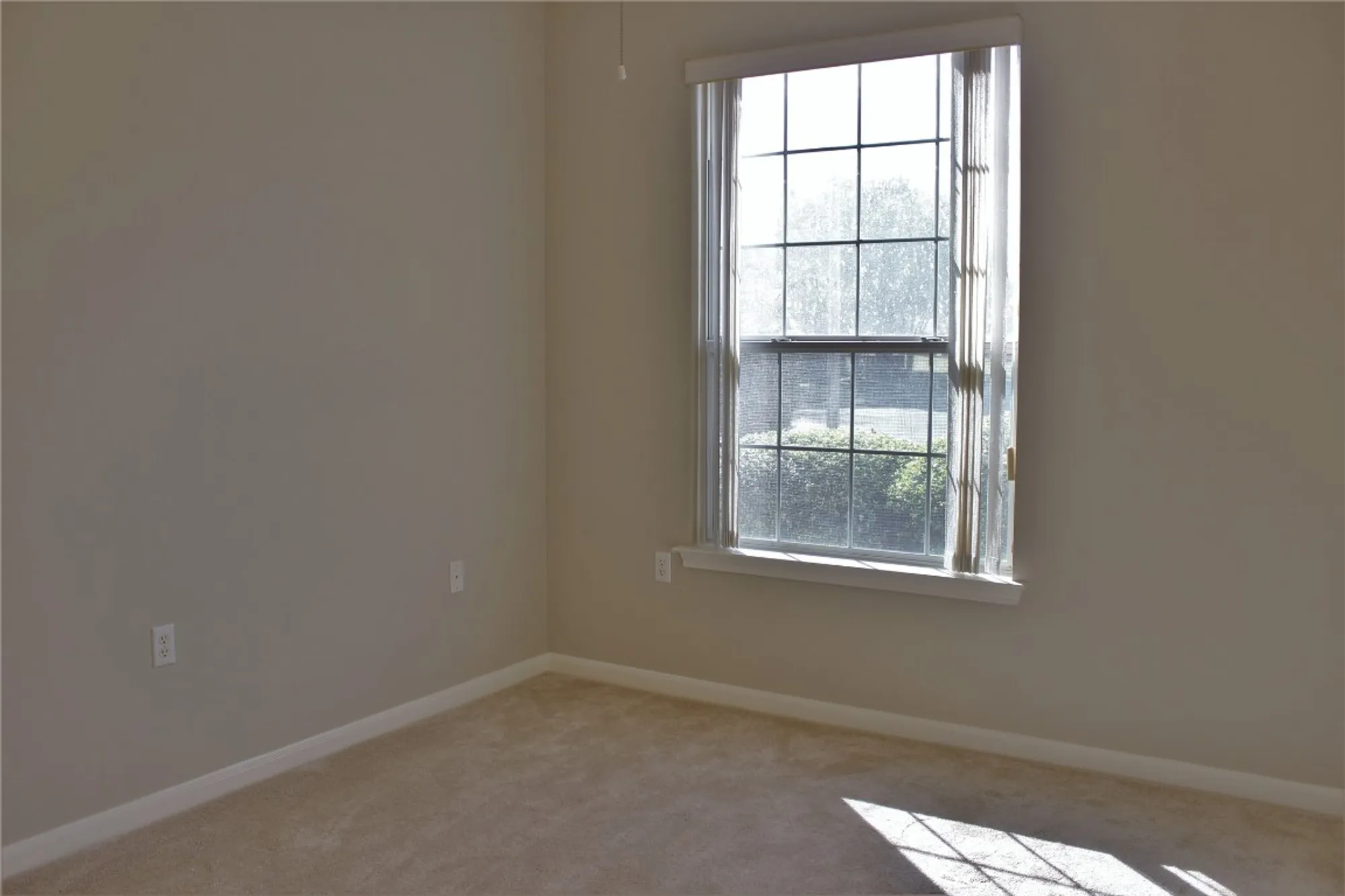 Property Slideshow image 11 of 16 | 131 ruellia dr, Georgetown, TX, 78633