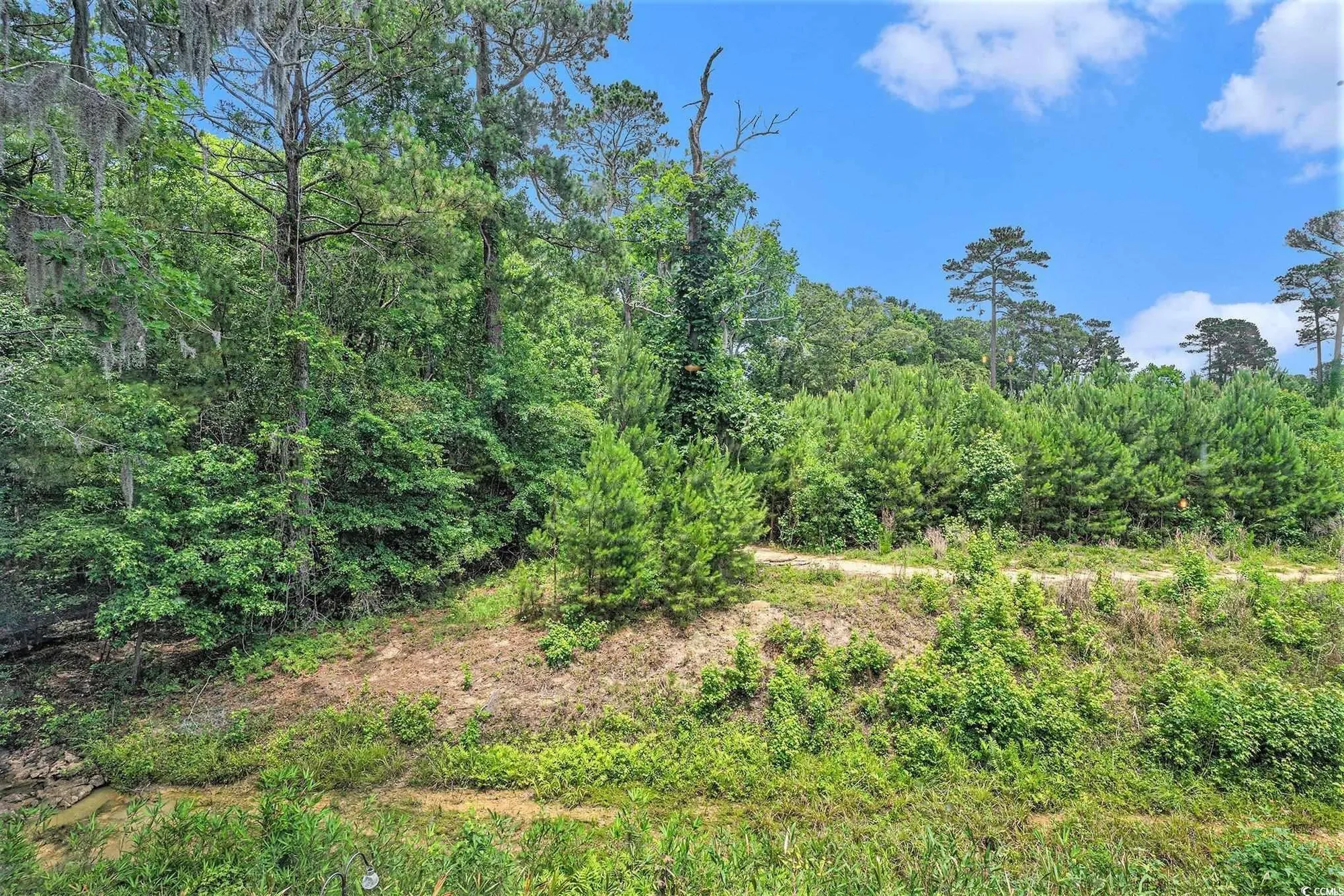 Property Slideshow image 27 of 32 | 1460 blue tree ct e, Myrtle Beach, SC, 29588