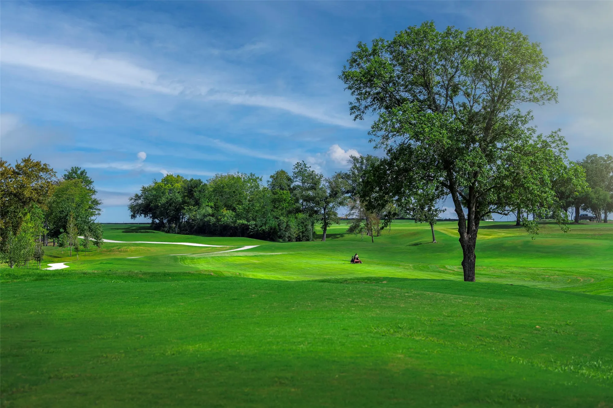 Property Slideshow image 15 of 18 | 14615 cedar elm ct, Willis, TX, 77318