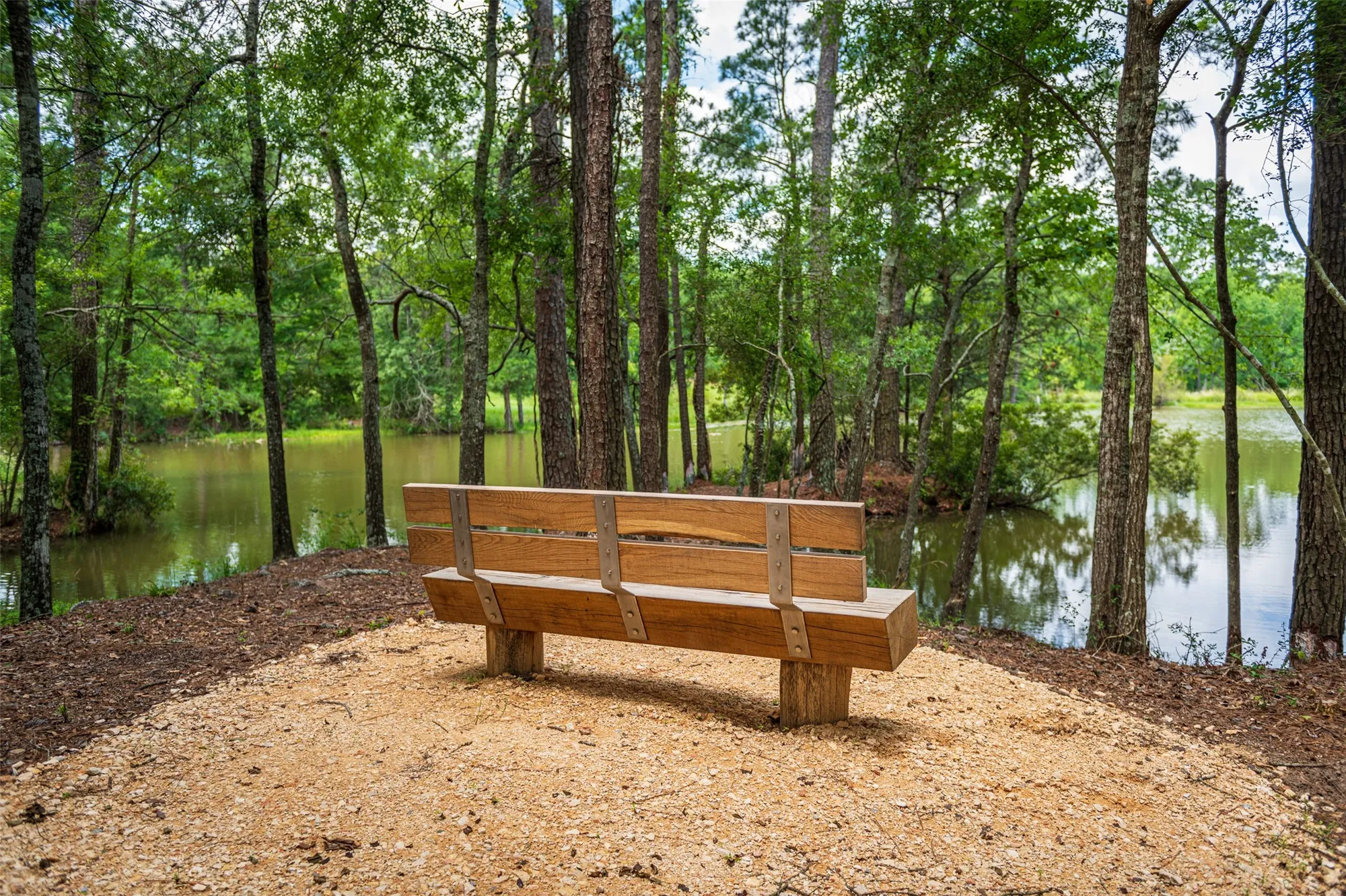 Property Slideshow image 12 of 18 | 14615 cedar elm ct, Willis, TX, 77318