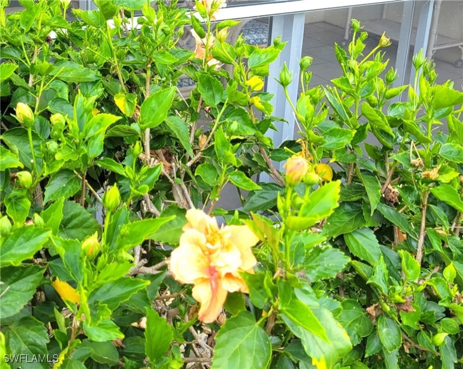 Property Slideshow image 4 of 23 | 401 charlemagne blvd apt c112, Naples, FL, 34112