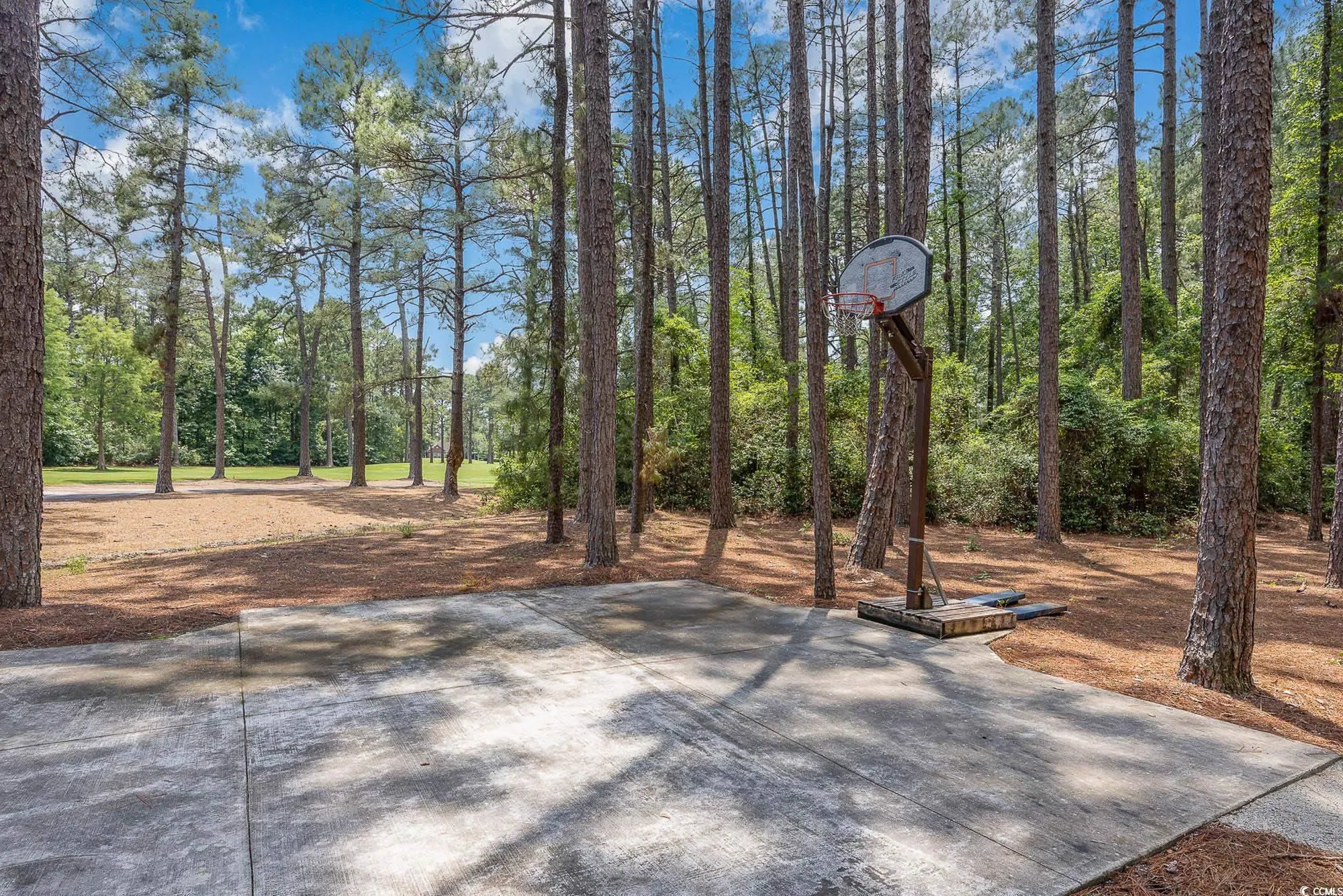 Property Slideshow image 36 of 37 | 137 hickory dr, Conway, SC, 29526