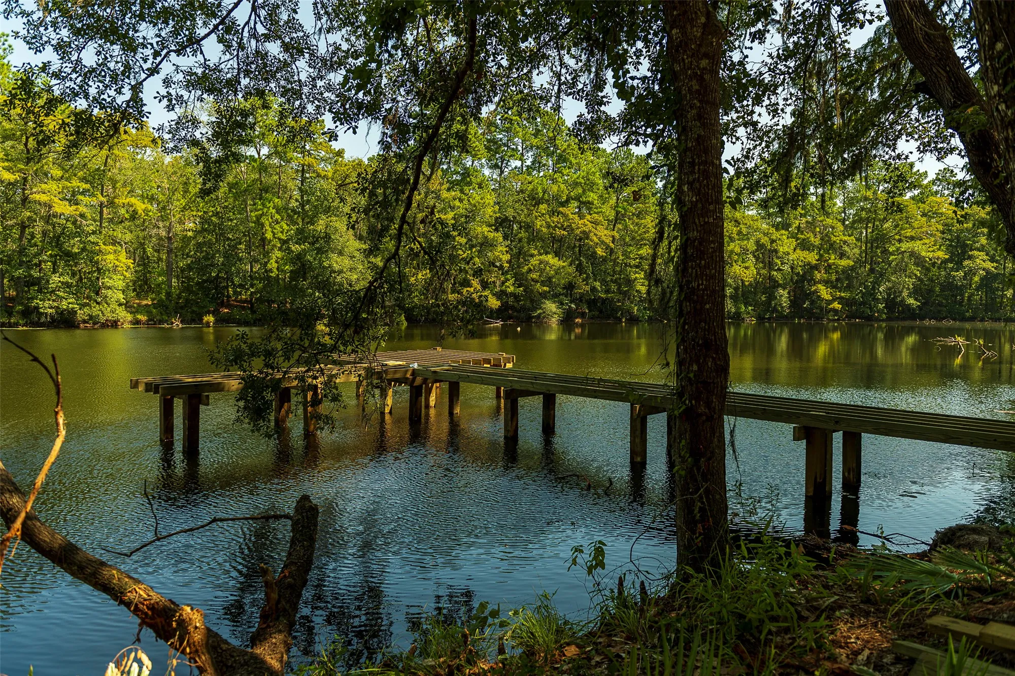 Property Slideshow image 46 of 49 | 21853 victory green way, Porter, TX, 77365