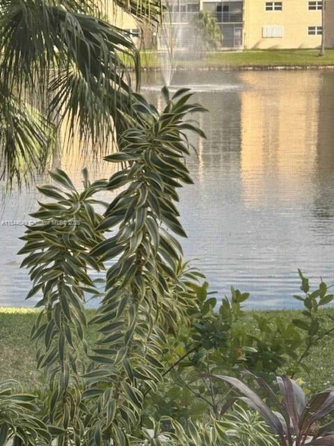 Property Slideshow image 11 of 20 | 1025 se 4th ave 106, Dania Beach, FL, 33004