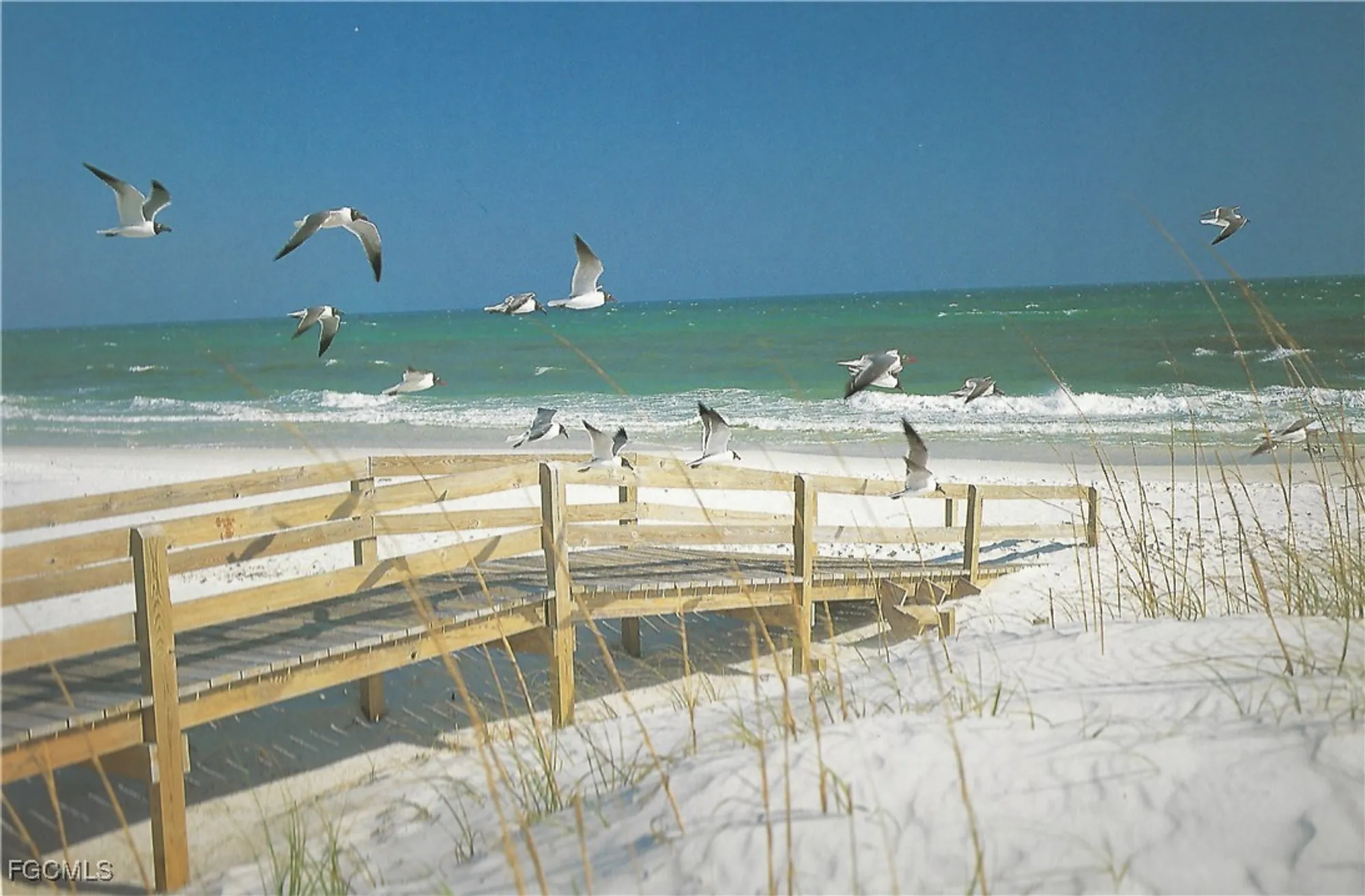 Property Slideshow image 49 of 50 | 14101 brant point cir 3204, Fort Myers, FL, 33919