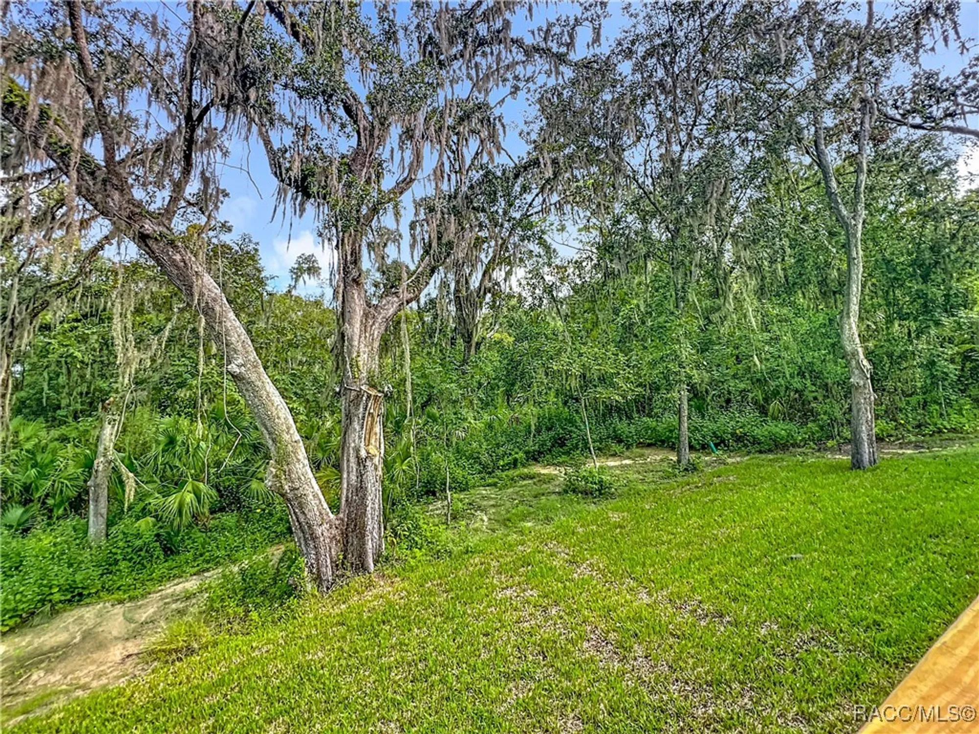 Property Slideshow image 60 of 80 | 2253 n heritage oaks path, Hernando, FL, 34442
