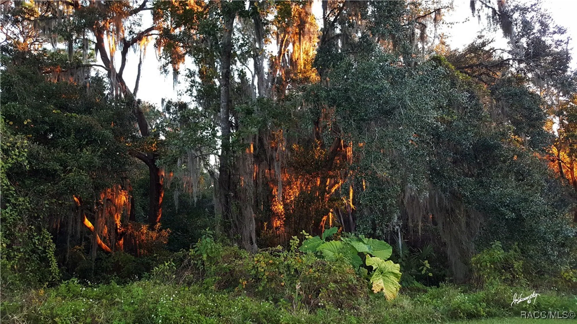 Property Slideshow image 76 of 80 | 2253 n heritage oaks path, Hernando, FL, 34442