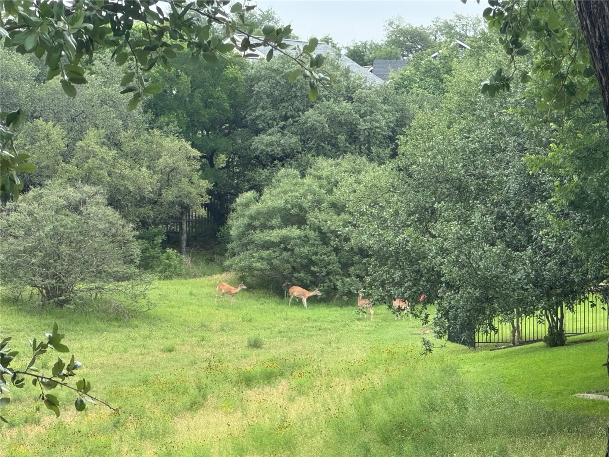 Property Slideshow image 36 of 37 | 5124 hidden springs trl, Georgetown, TX, 78633