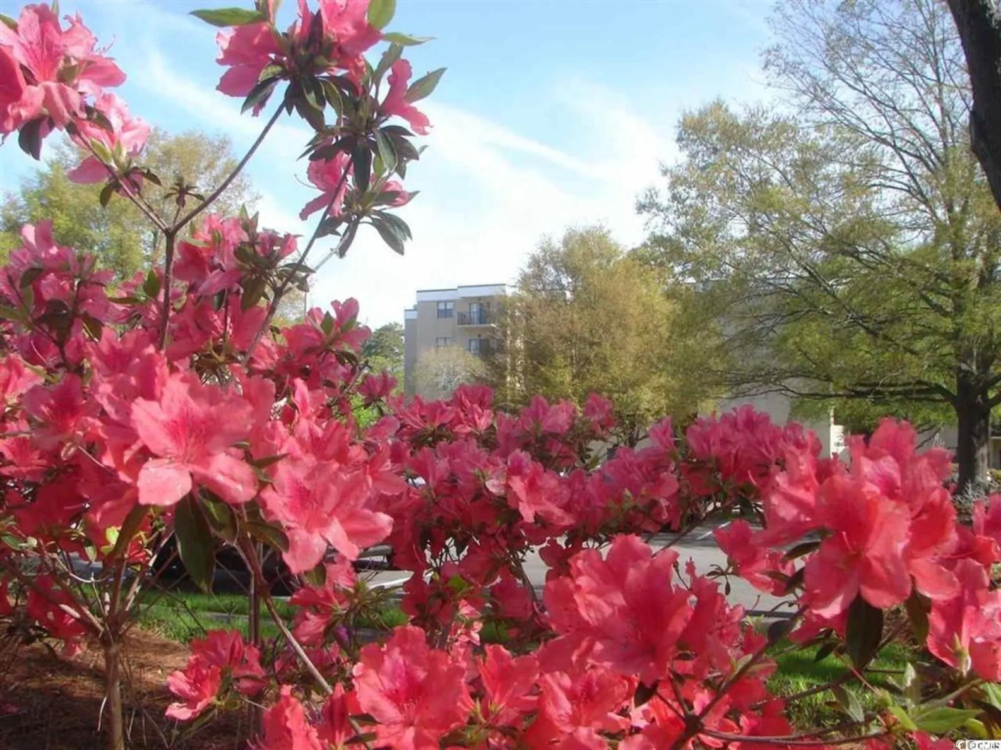 Property Slideshow image 22 of 28 | 5001 little river rd w106, Myrtle Beach, SC, 29577