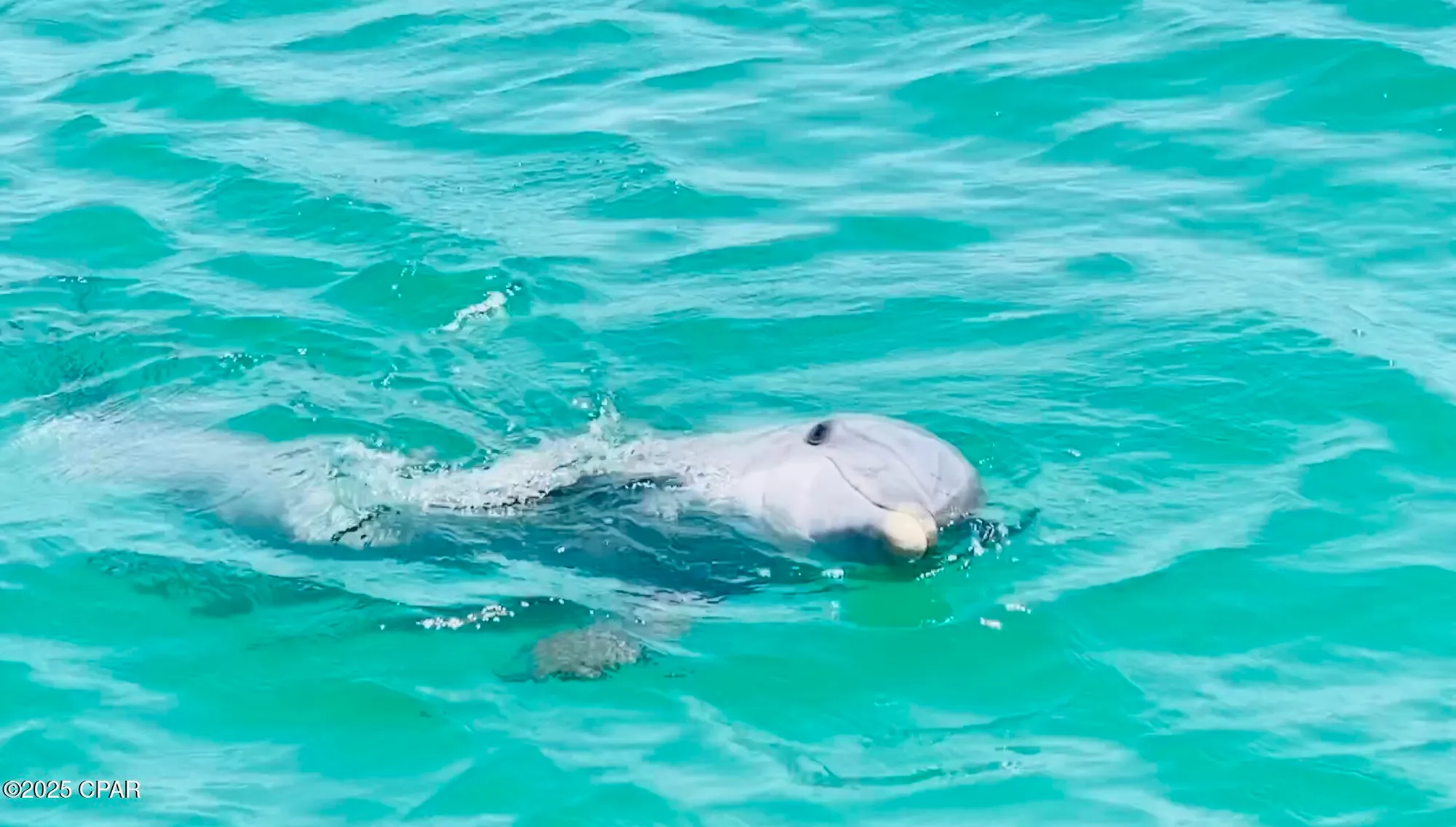 Property Slideshow image 99 of 111 | 8748 conch shell ct, Panama City Beach, FL, 32413