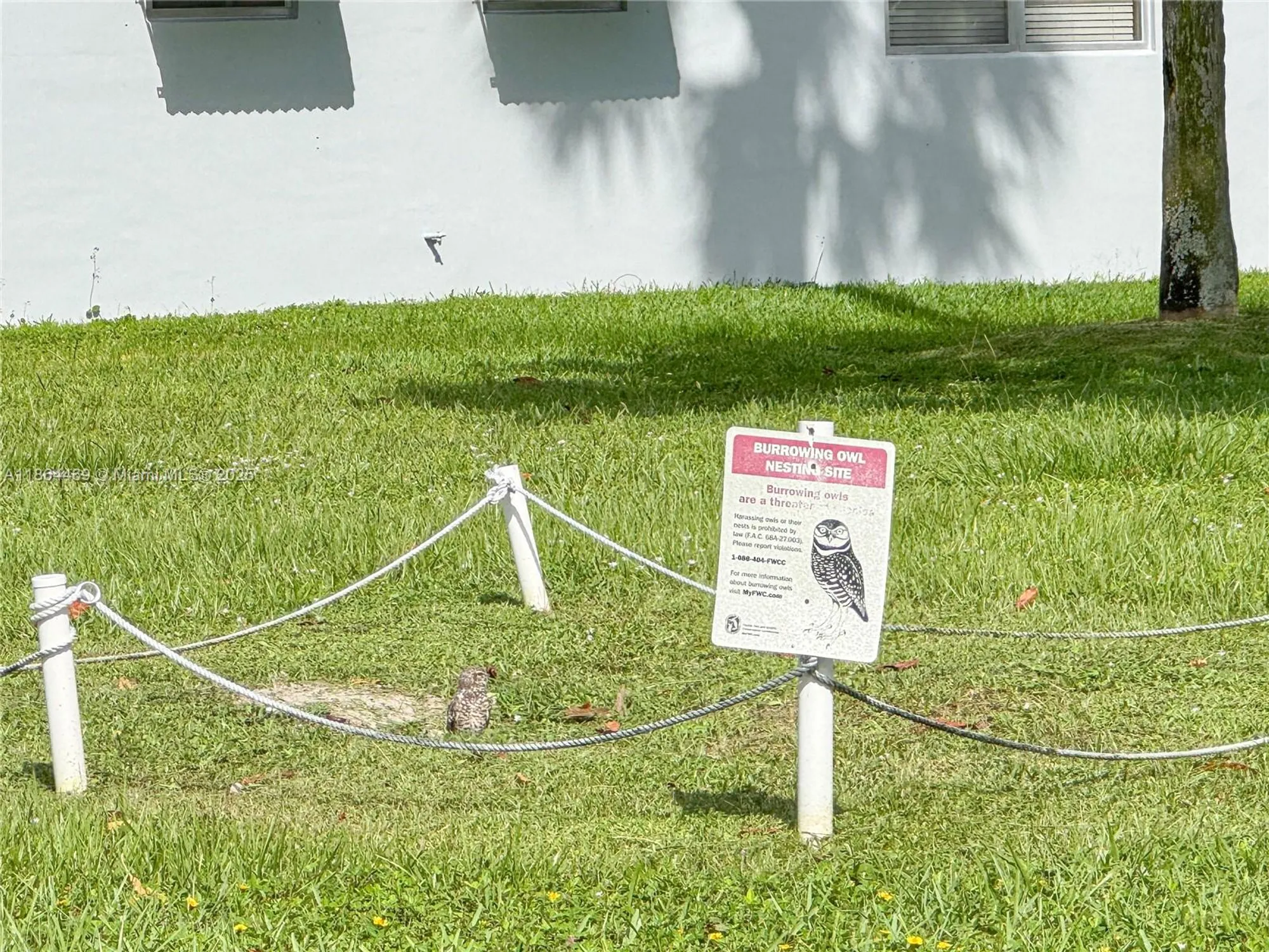 Property Slideshow image 39 of 50 | 2300 park ln apt 105, Hollywood, FL, 33021