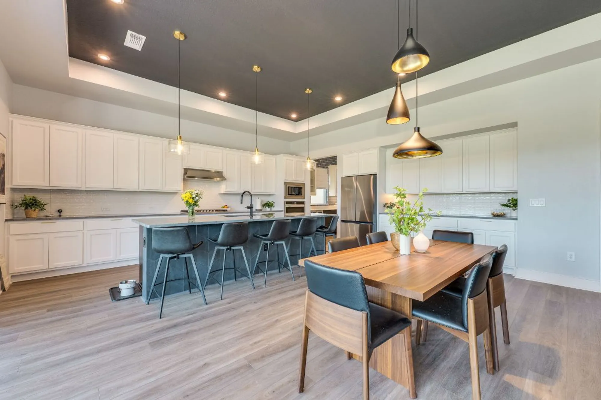 Property Slideshow image 9 of 40 | 508 alava way, Liberty Hill, TX, 78642