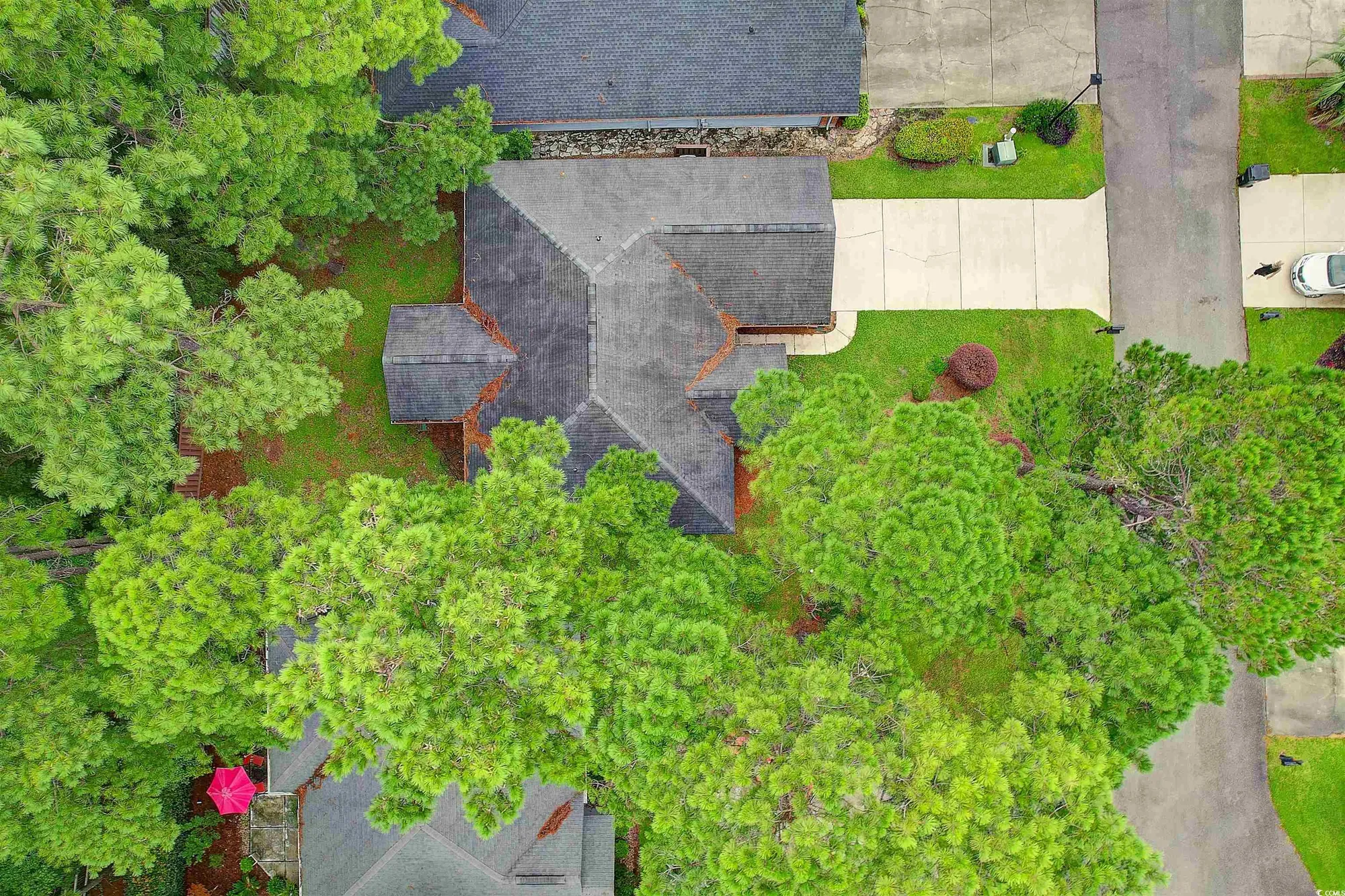 Property Slideshow image 30 of 39 | 117 boxwood ln, Conway, SC, 29526