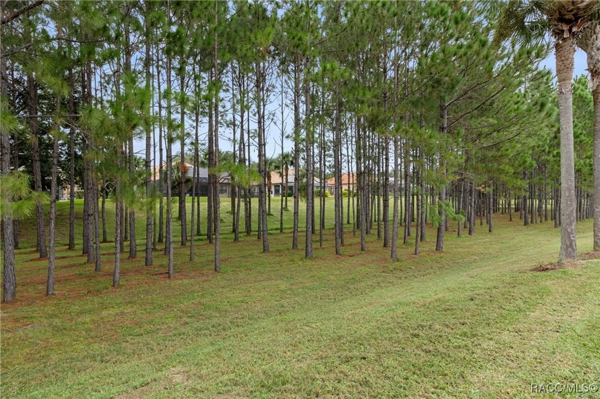 Property Slideshow image 56 of 90 | 1077 n hunt club dr, Hernando, FL, 34442