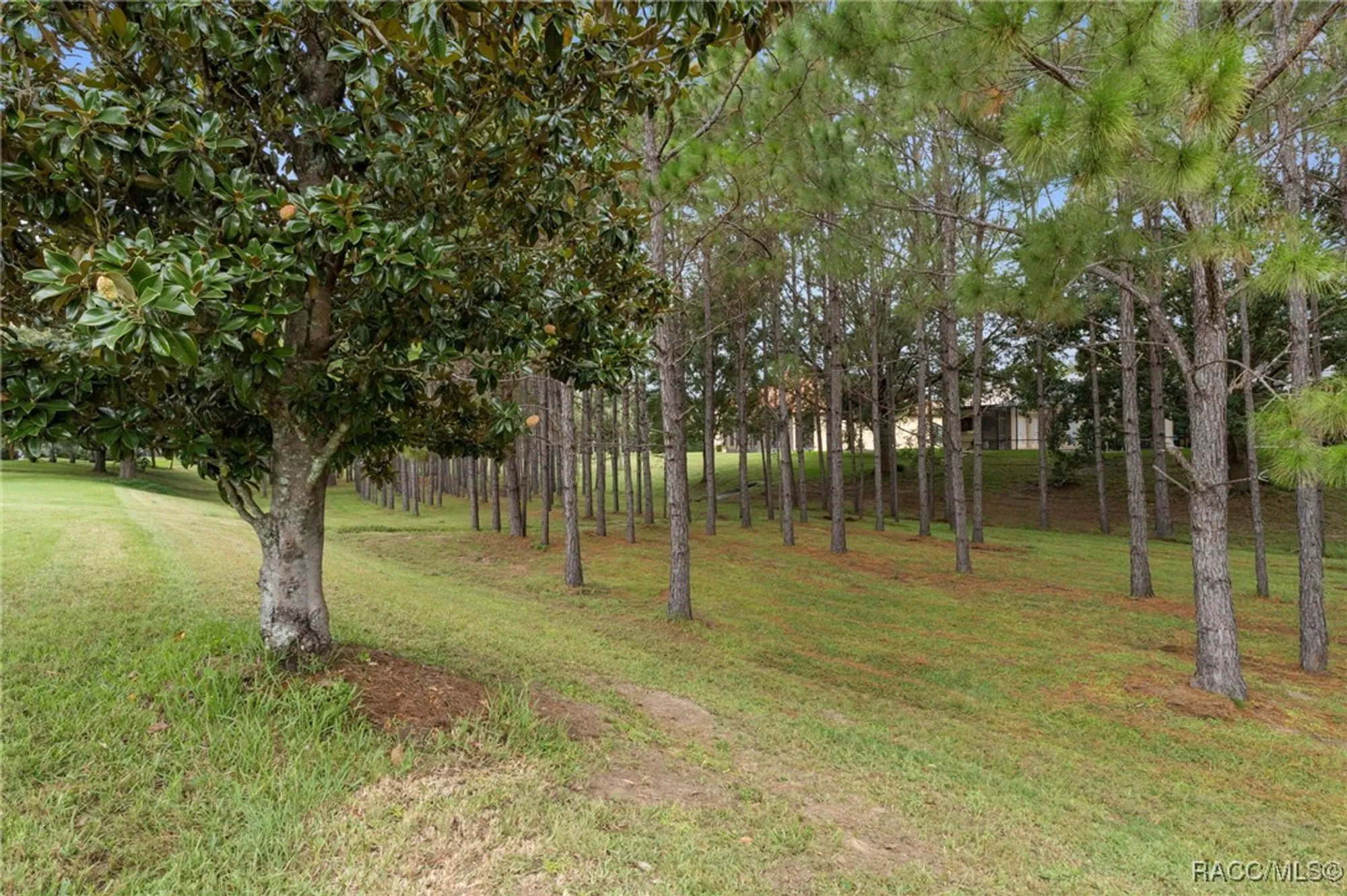 Property Slideshow image 57 of 90 | 1077 n hunt club dr, Hernando, FL, 34442