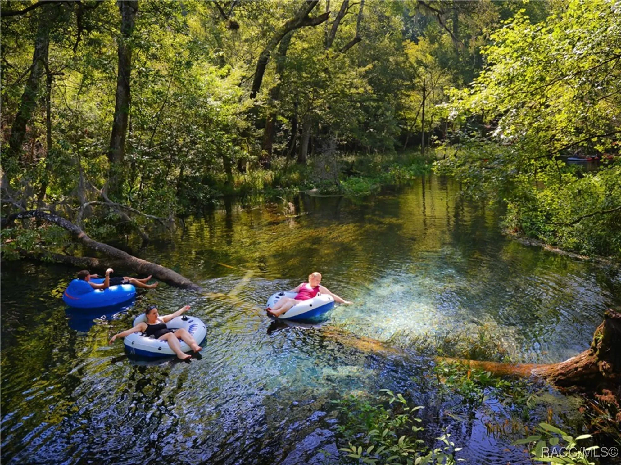 Property Slideshow image 86 of 92 | 1416 n eagle ridge path, Hernando, FL, 34442