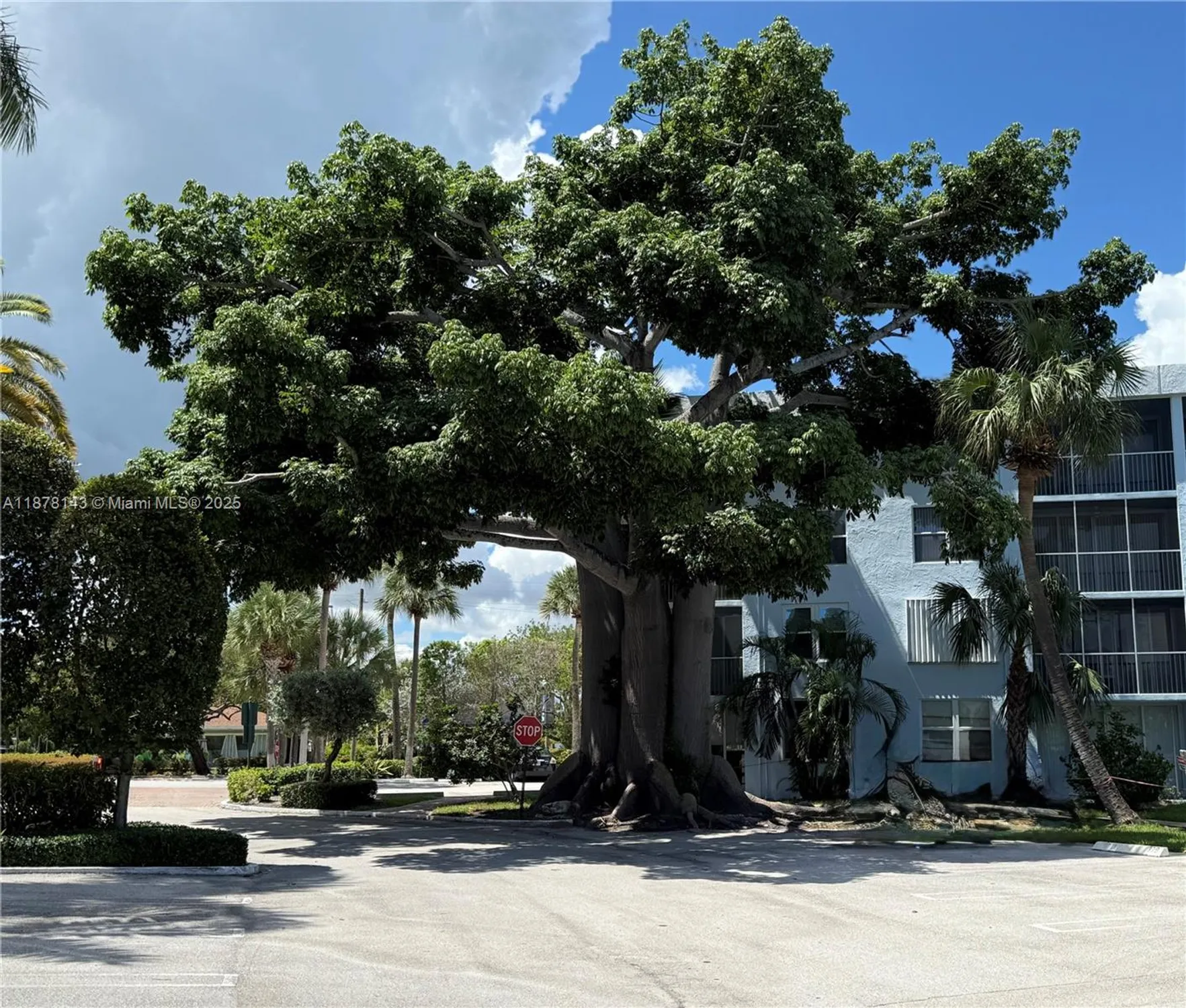 Property Slideshow image 39 of 52 | 2000 s federal hwy apt 304, Boynton Beach, FL, 33435