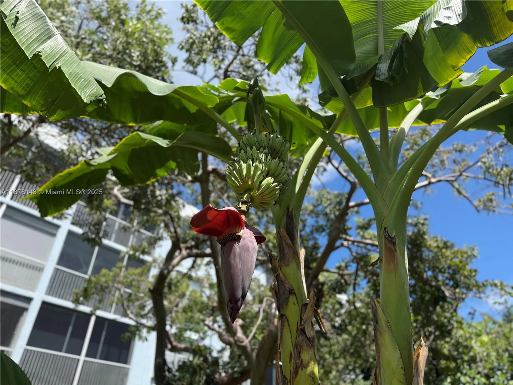 Property Slideshow image 41 of 52 | 2000 s federal hwy apt 304, Boynton Beach, FL, 33435