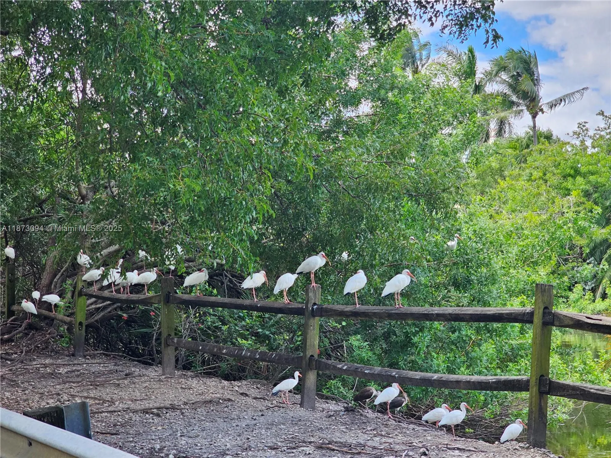 Property Slideshow image 11 of 25 | 20400 w country club dr 315, Aventura, FL, 33180