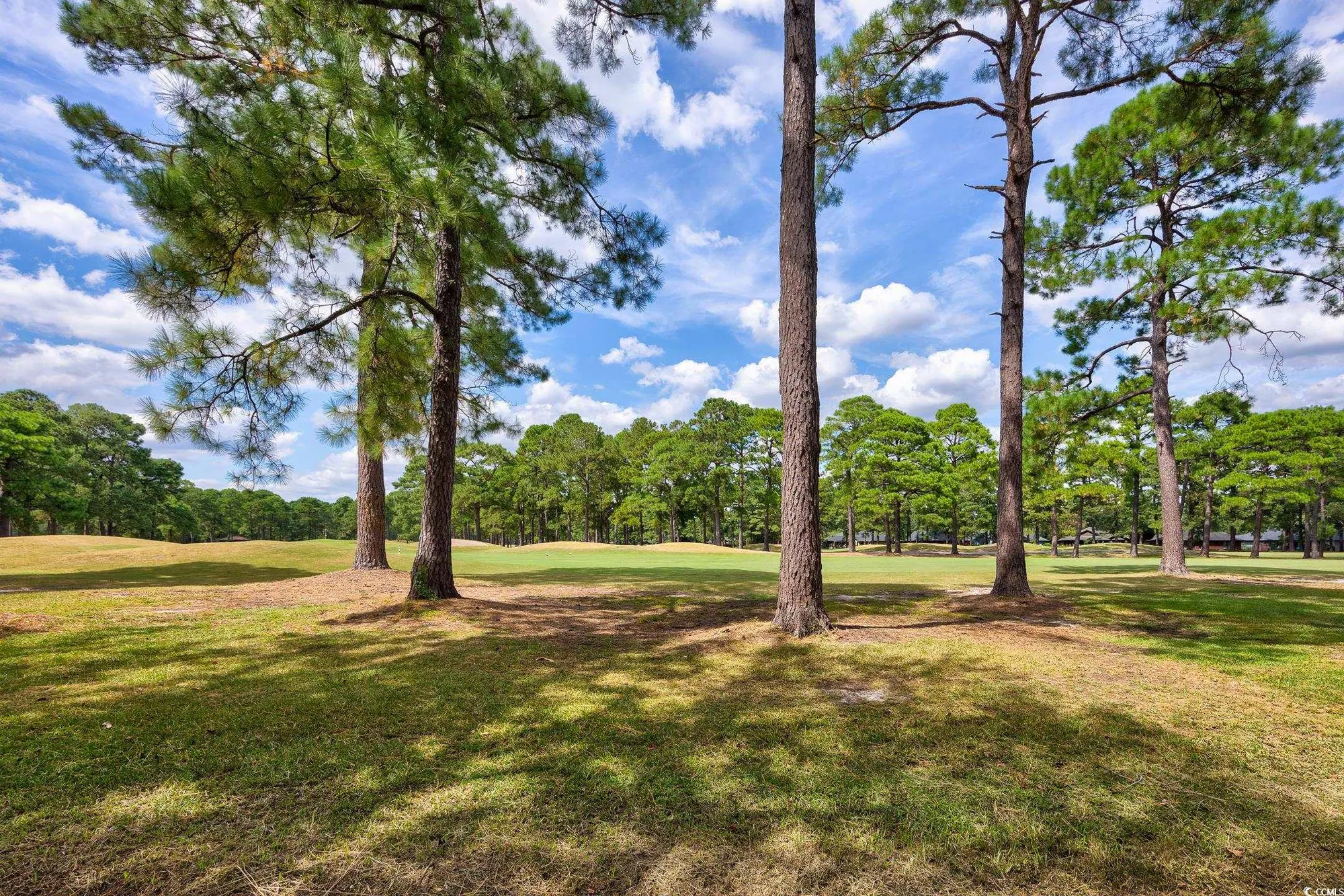 Property Slideshow image 34 of 40 | 228 cedar ridge ln, Conway, SC, 29526