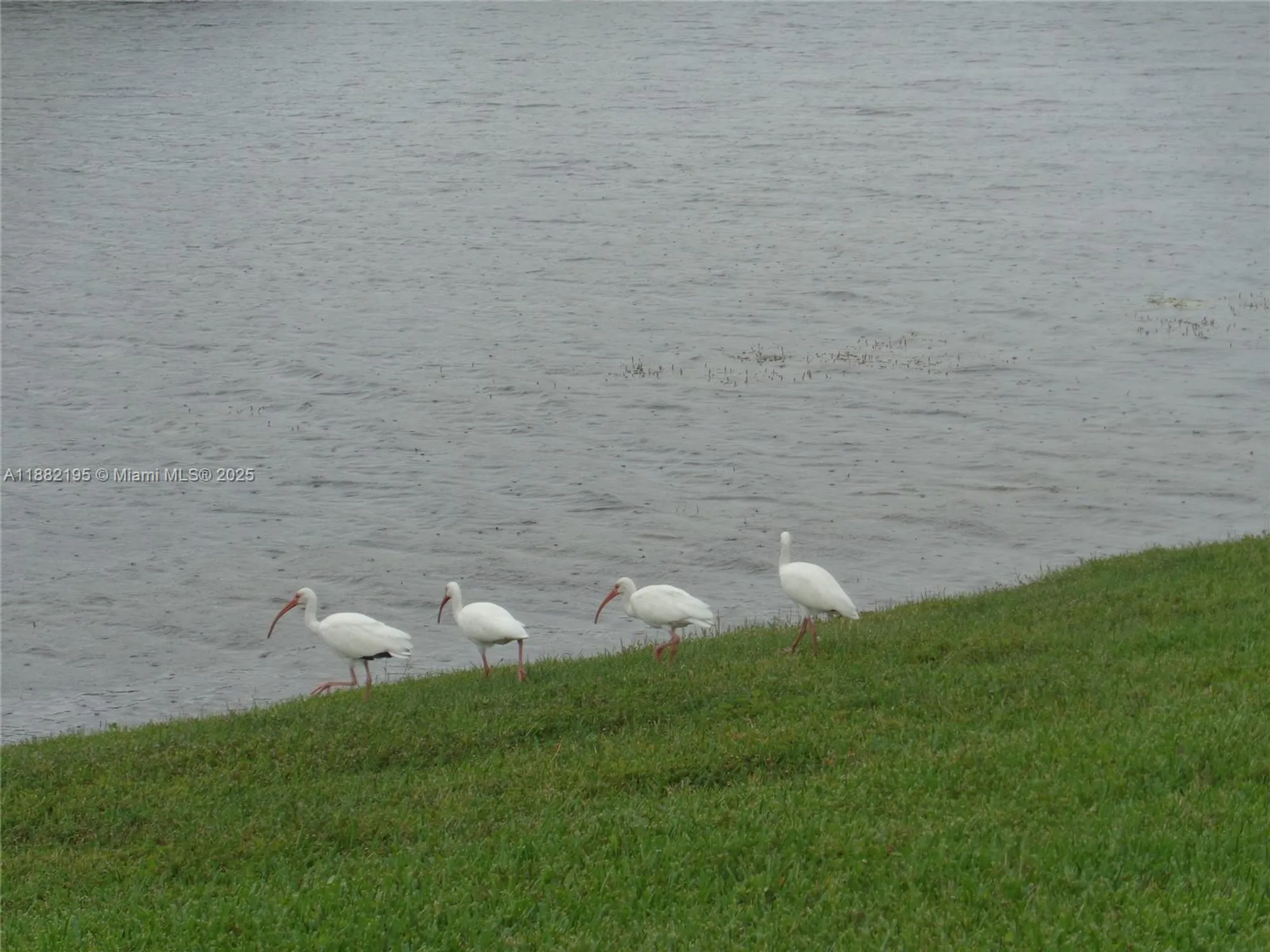 Property Slideshow image 51 of 52 | 701 sw 141st ave 412r, Pembroke Pines, FL, 33027