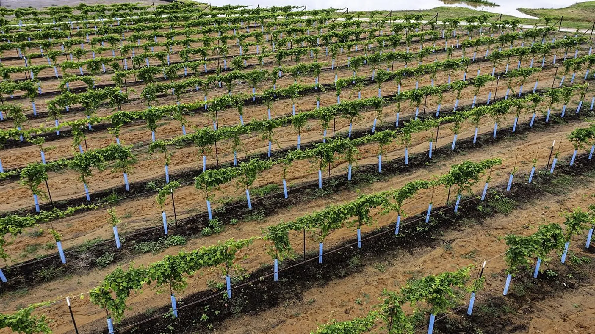 Property Slideshow image 44 of 45 | 15012 lakeline green ln, Willis, TX, 77318