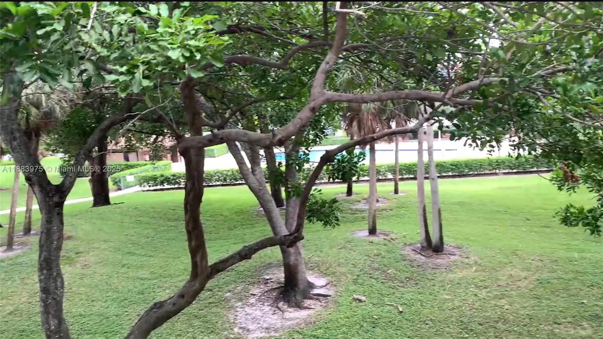 Property Slideshow image 17 of 17 | 1551 sw 135th ter 310g, Pembroke Pines, FL, 33027