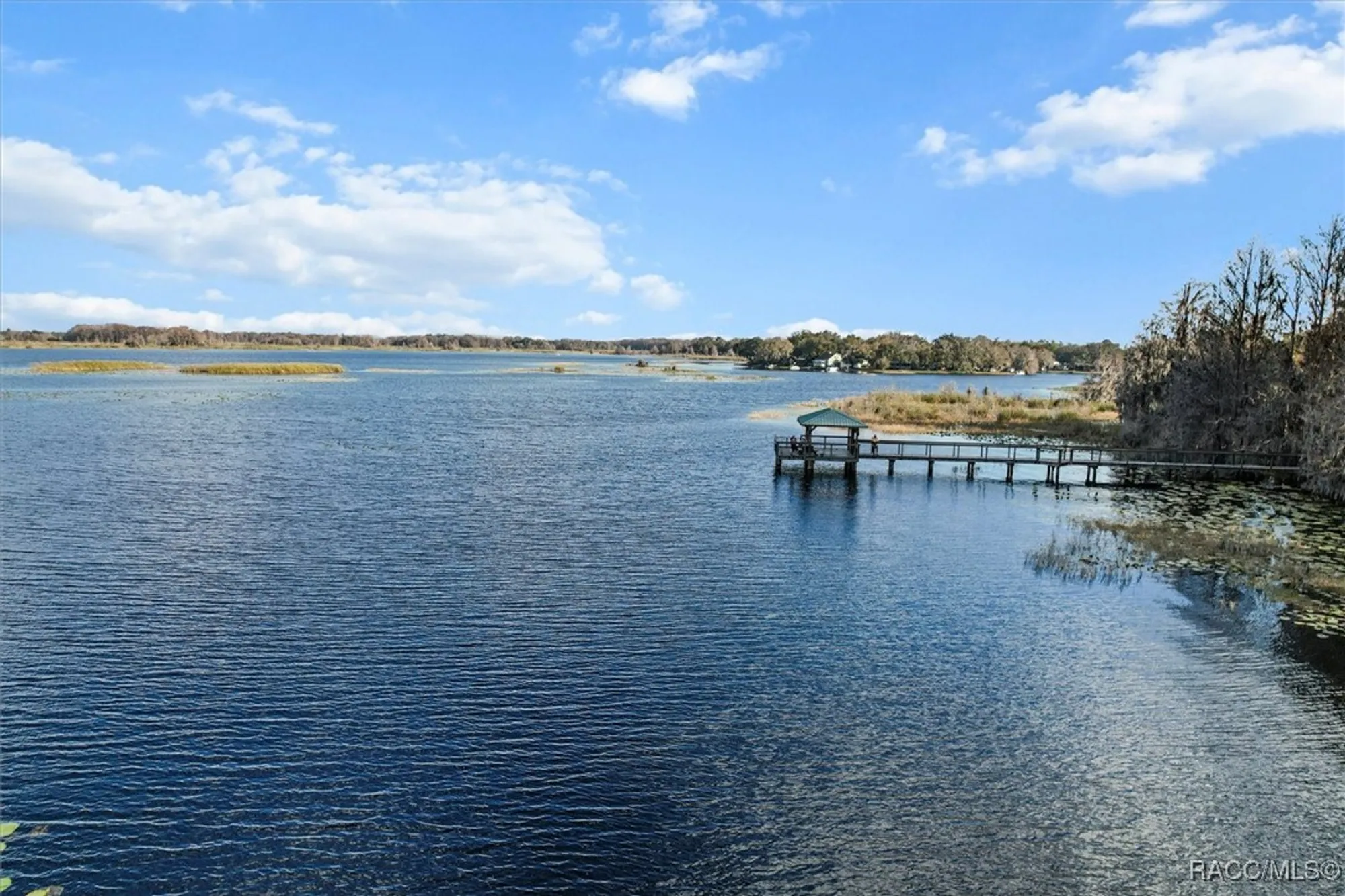 Property Slideshow image 47 of 56 | 4497 n lake vista trl, Hernando, FL, 34442