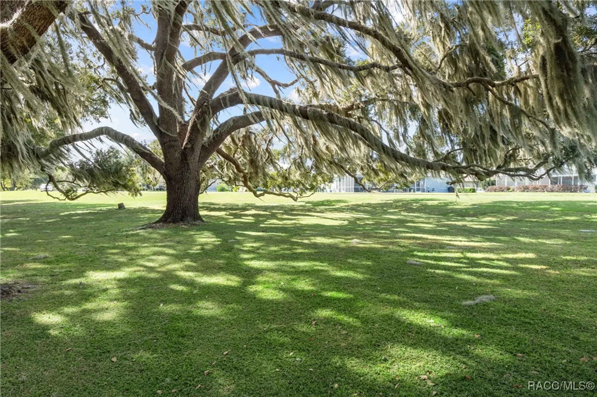 Property Slideshow image 69 of 76 | 3825 e arbor lakes dr, Hernando, FL, 34442