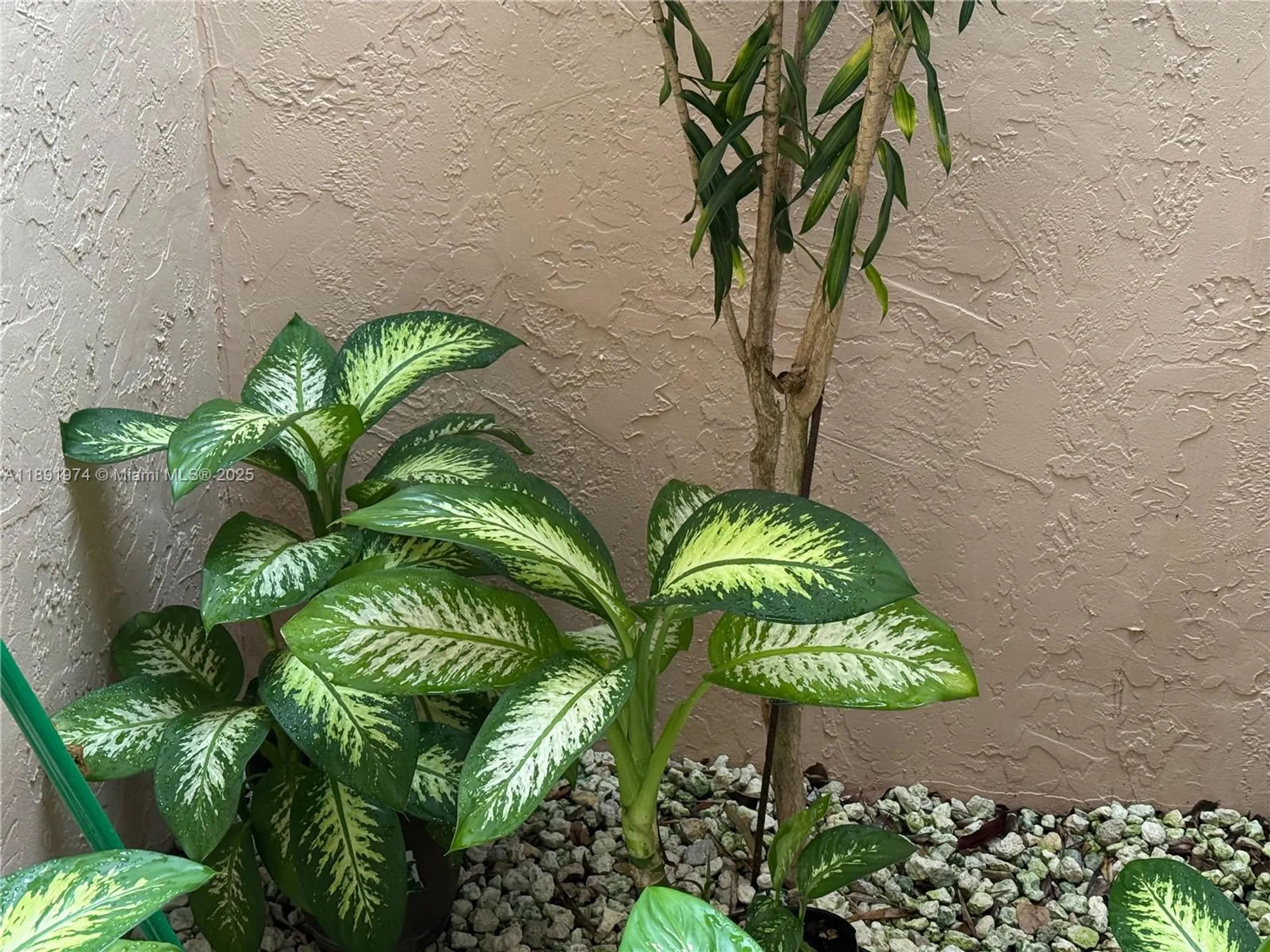 Property Slideshow image 4 of 30 | 8204 summerbreeze ln, Boca Raton, FL, 33496