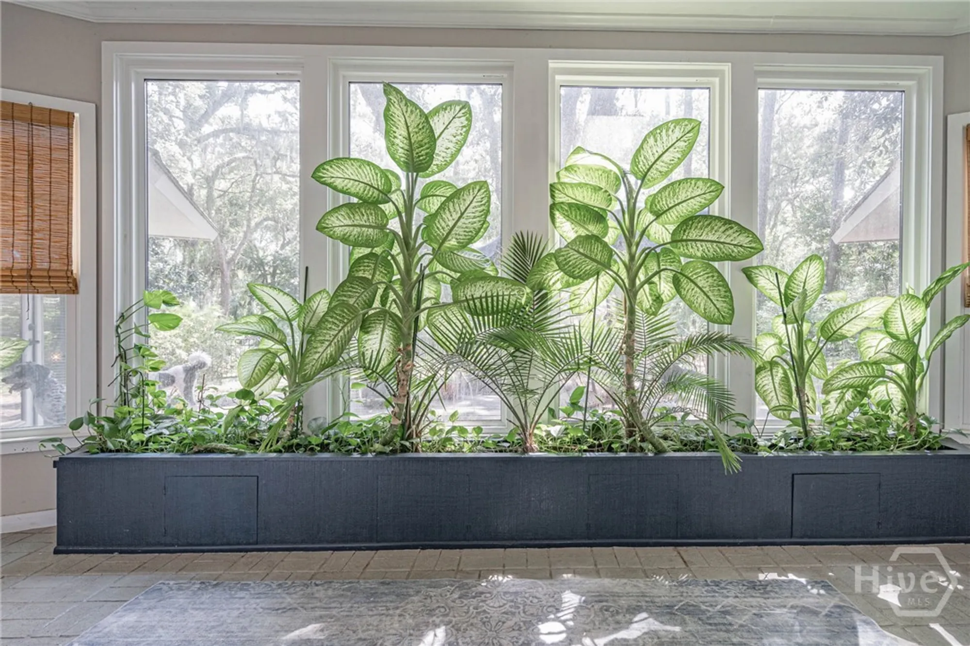 Property Slideshow image 5 of 38 | 4 tomochichi ln, Savannah, GA, 31411