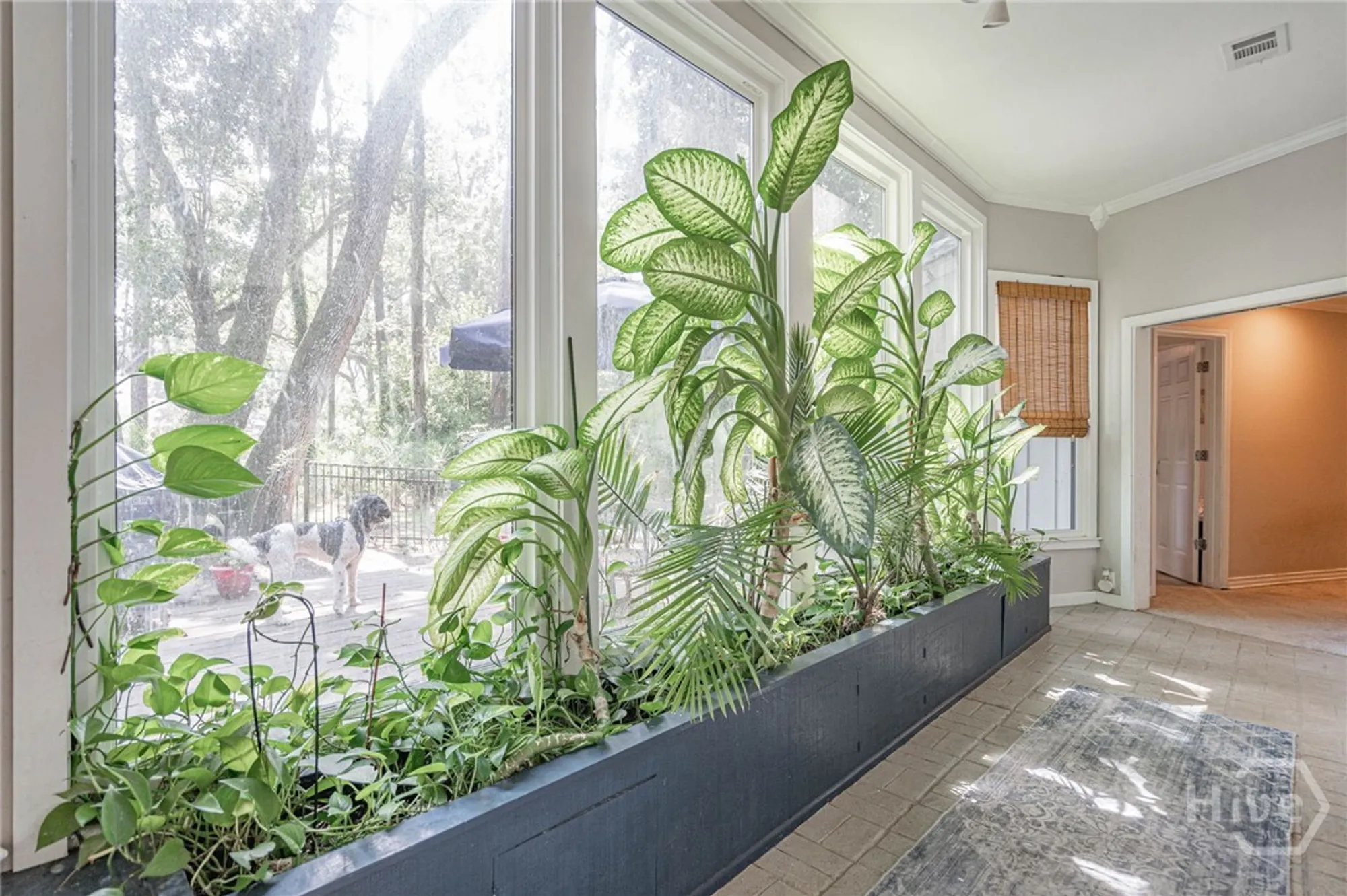 Property Slideshow image 6 of 38 | 4 tomochichi ln, Savannah, GA, 31411