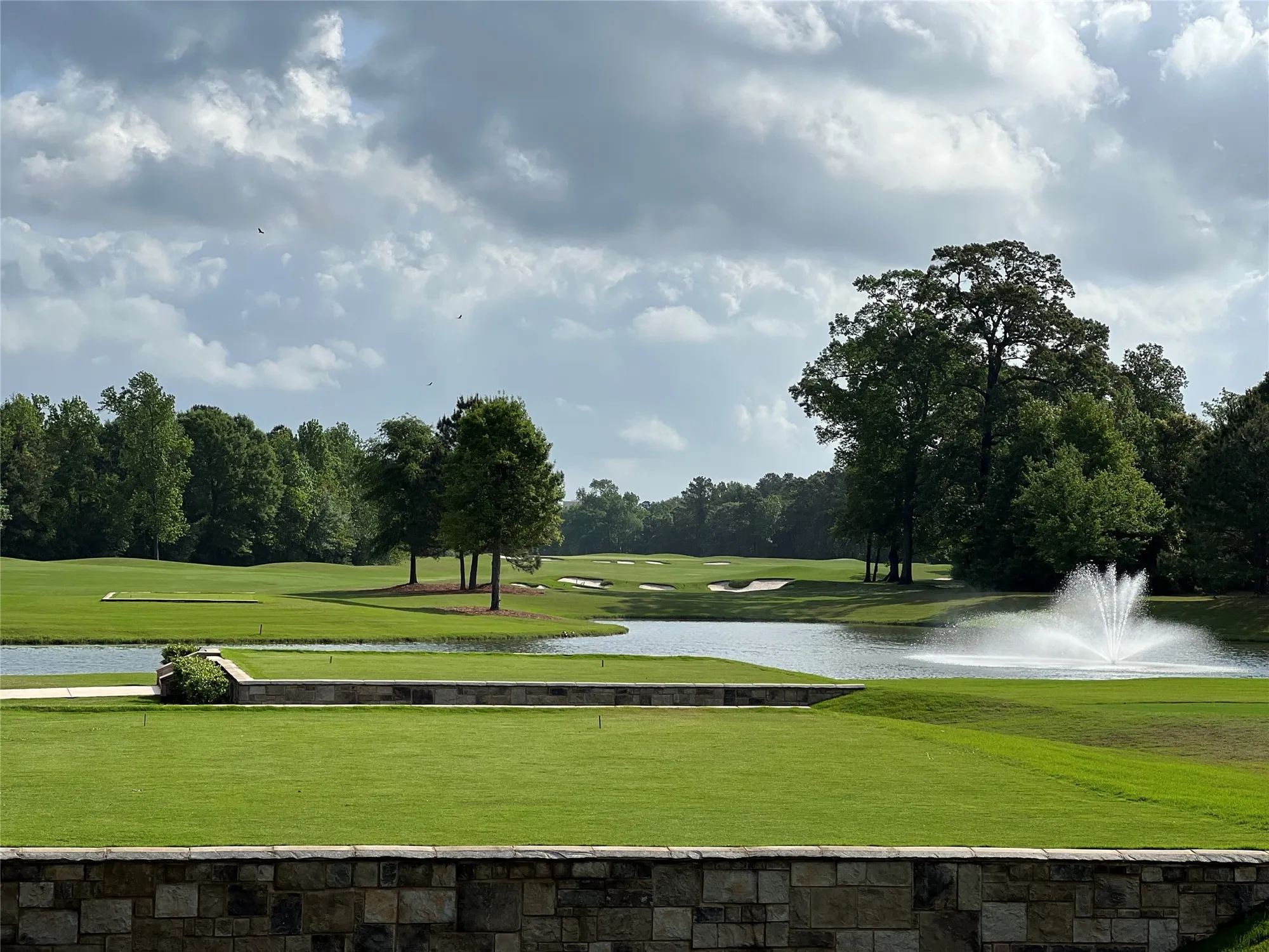 Property Slideshow image 37 of 38 | 247 n wild petunia trl, Montgomery, TX, 77316