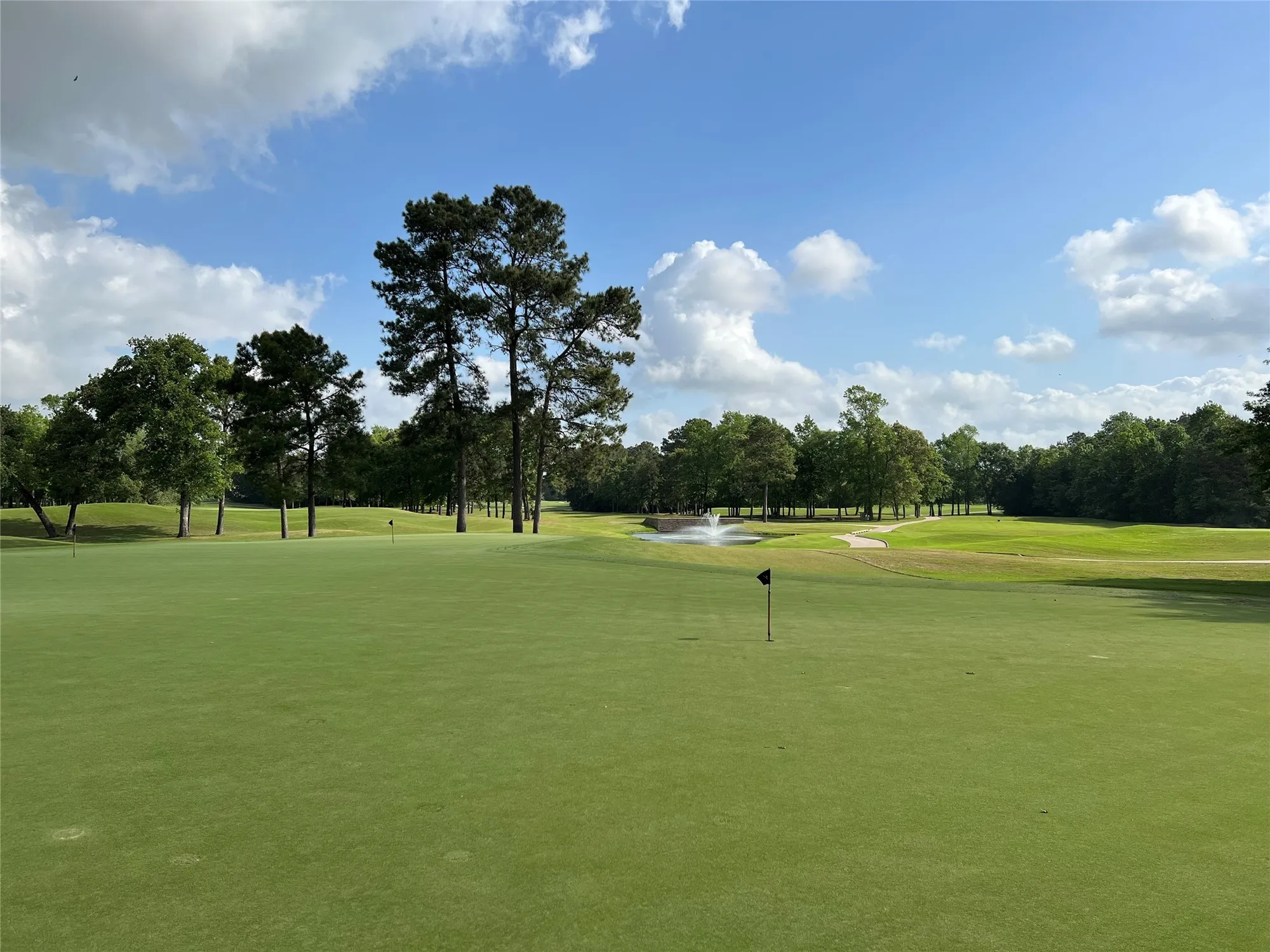 Property Slideshow image 38 of 38 | 247 n wild petunia trl, Montgomery, TX, 77316