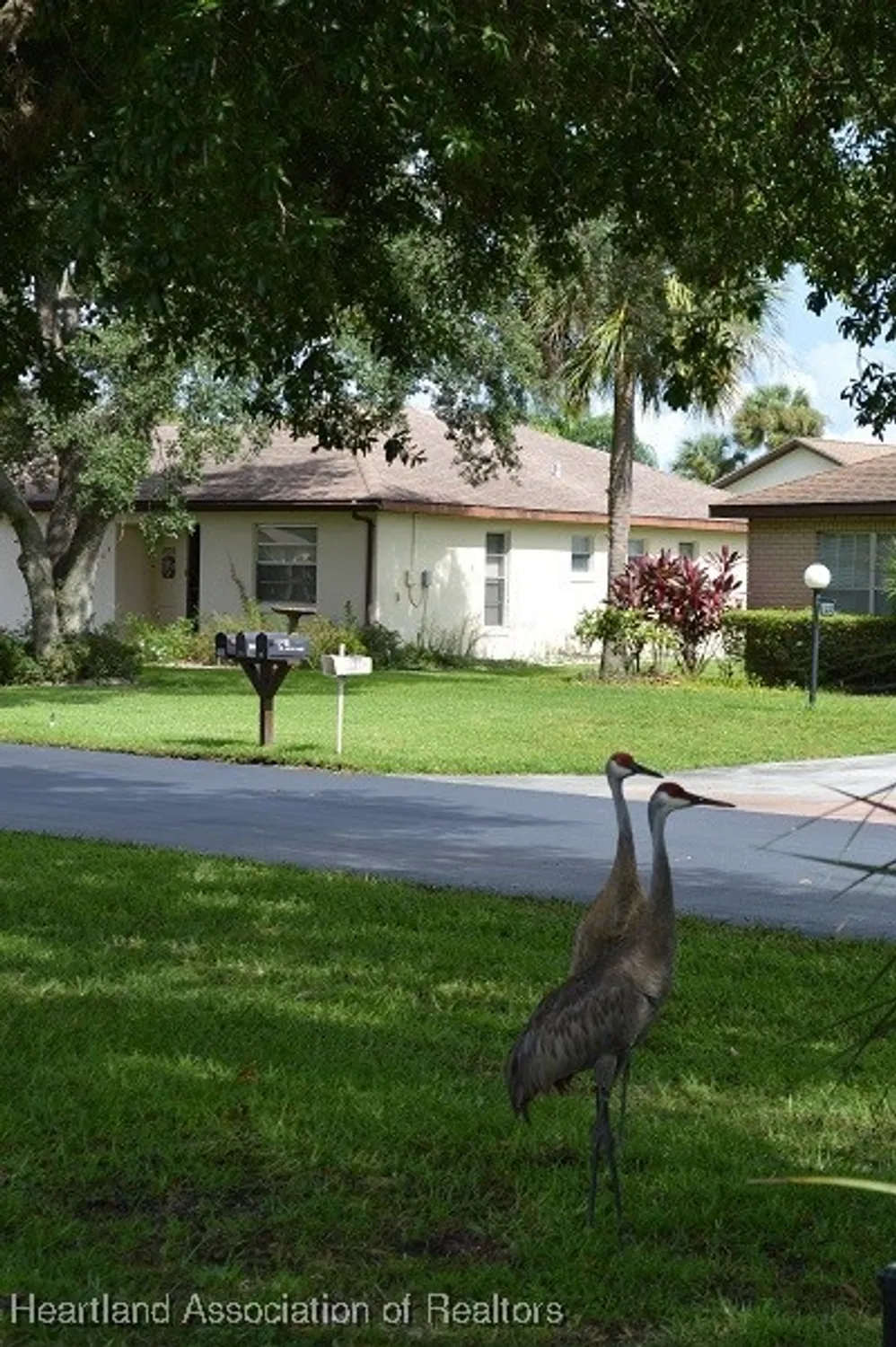 Property Slideshow image 33 of 38 | 116 hillcrest st, Lake Placid, FL, 33852